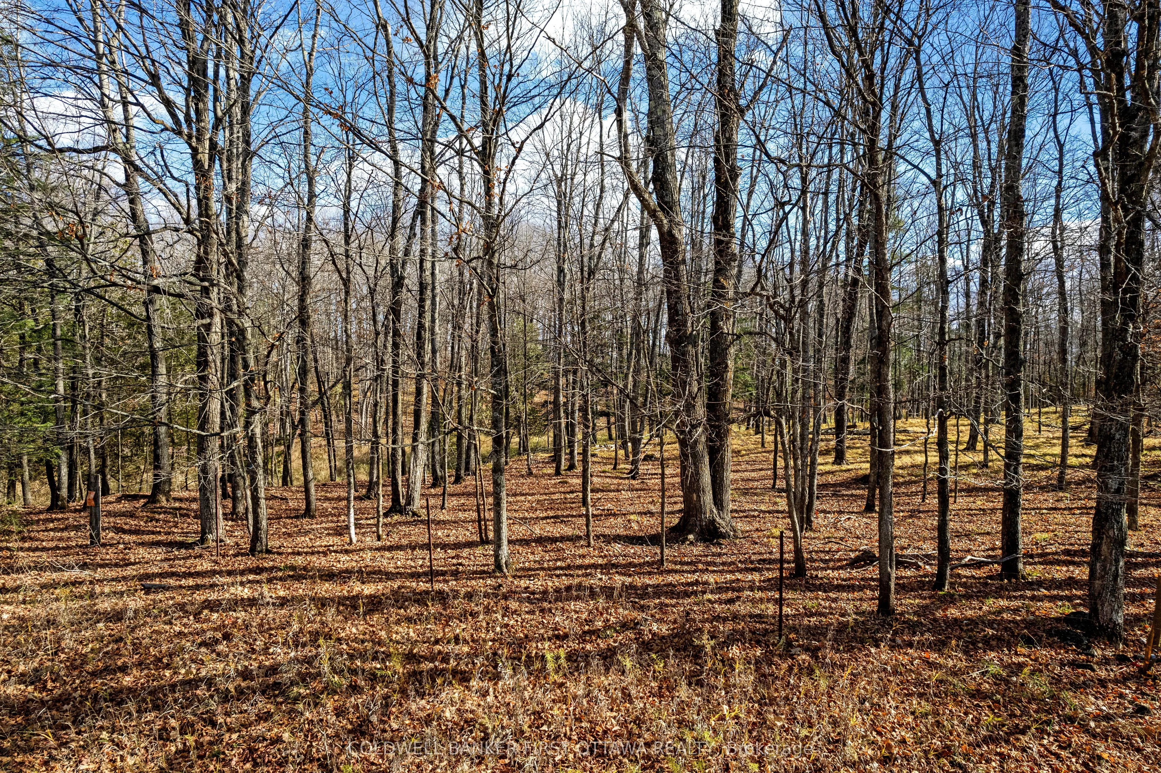 Vacant Land For Sale | X12589398
