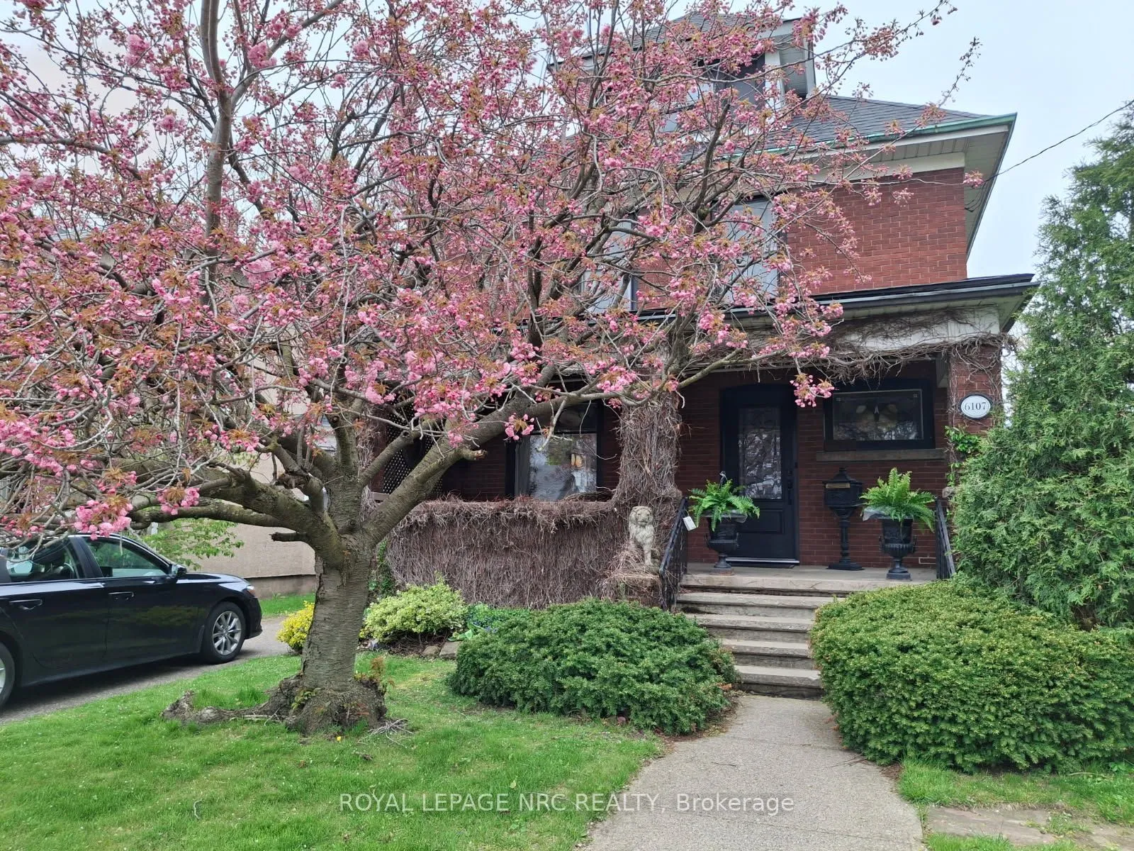 Detached Home For Sale | X12594982