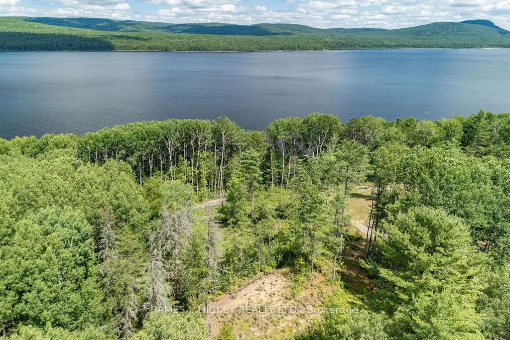 Vacant Land For Sale | X12603896