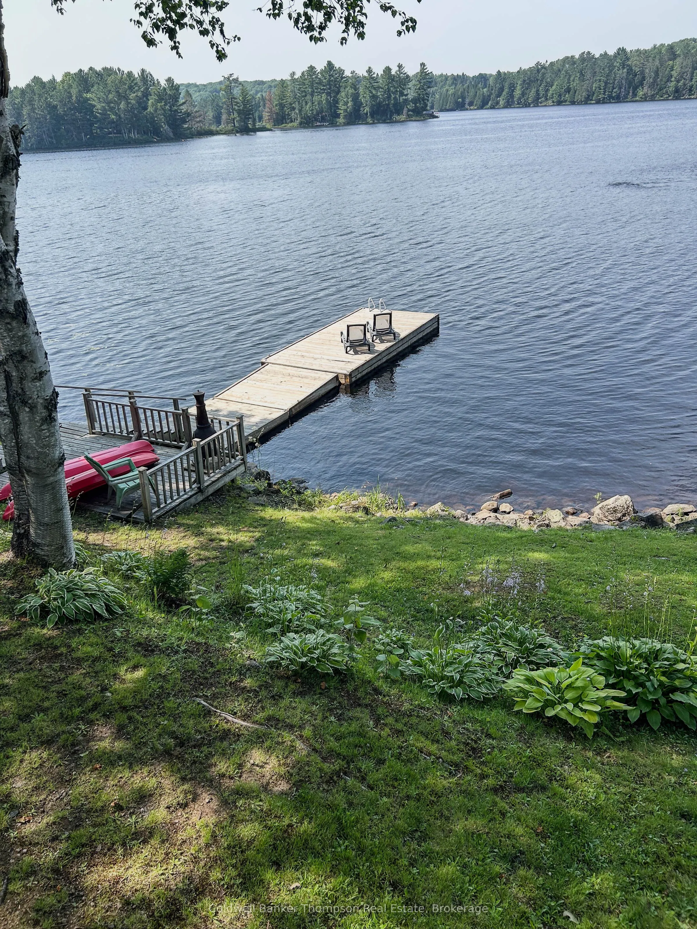 Detached Home For Sale | X12608370