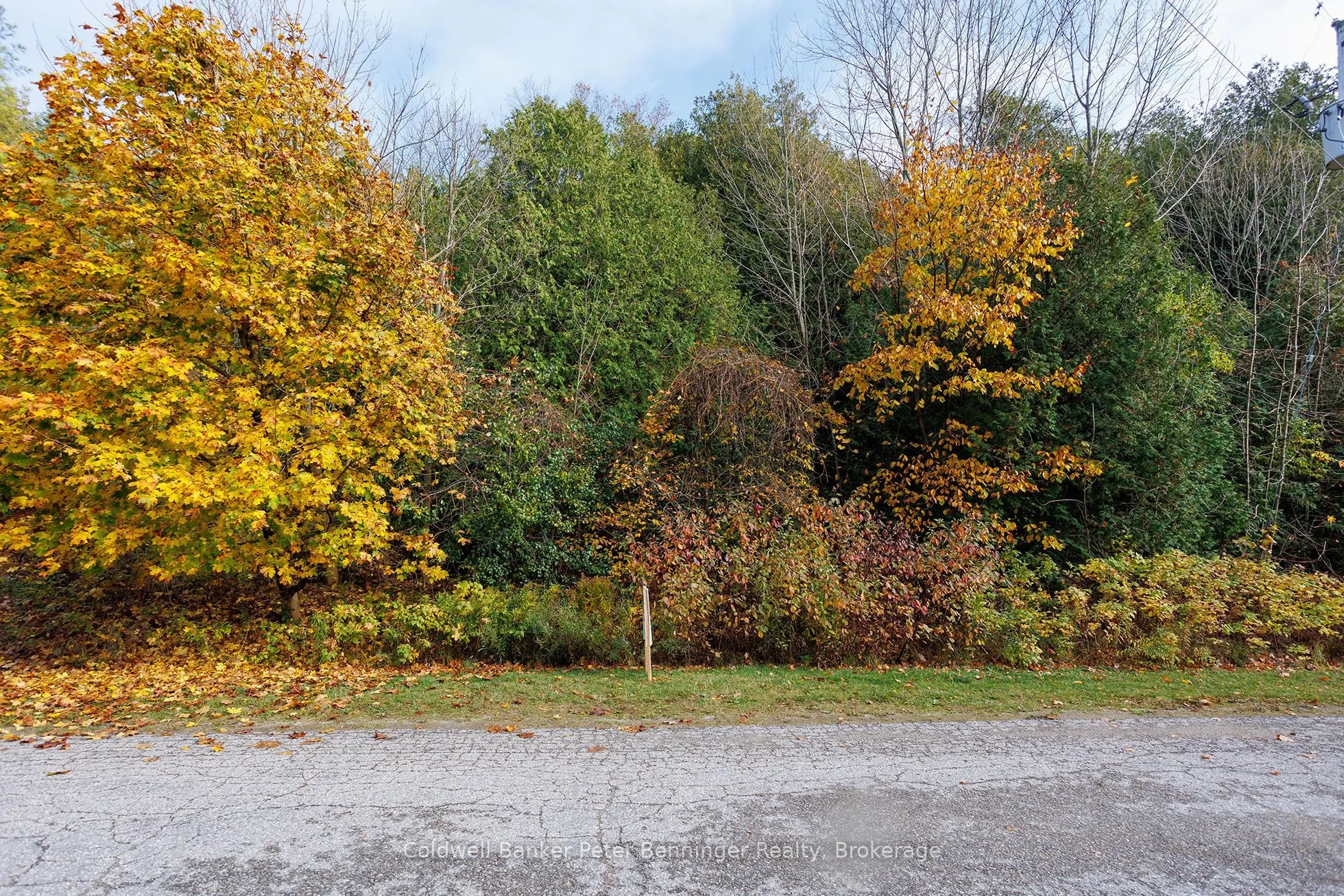 Vacant Land For Sale | X12617516