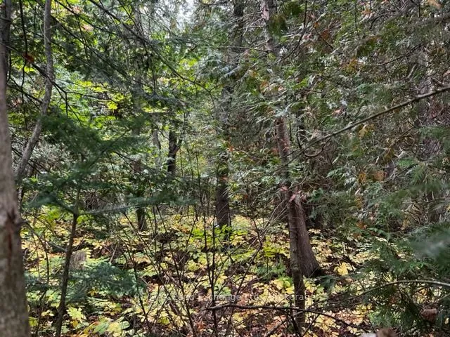 Vacant Land For Sale | X12627808