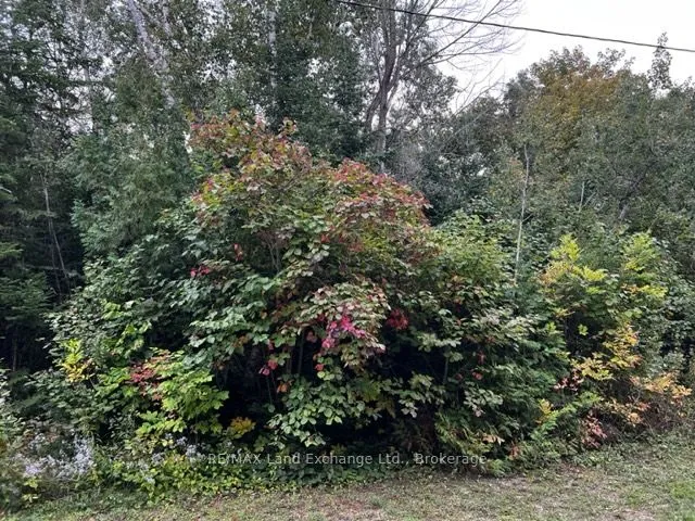 Vacant Land For Sale | X12627818