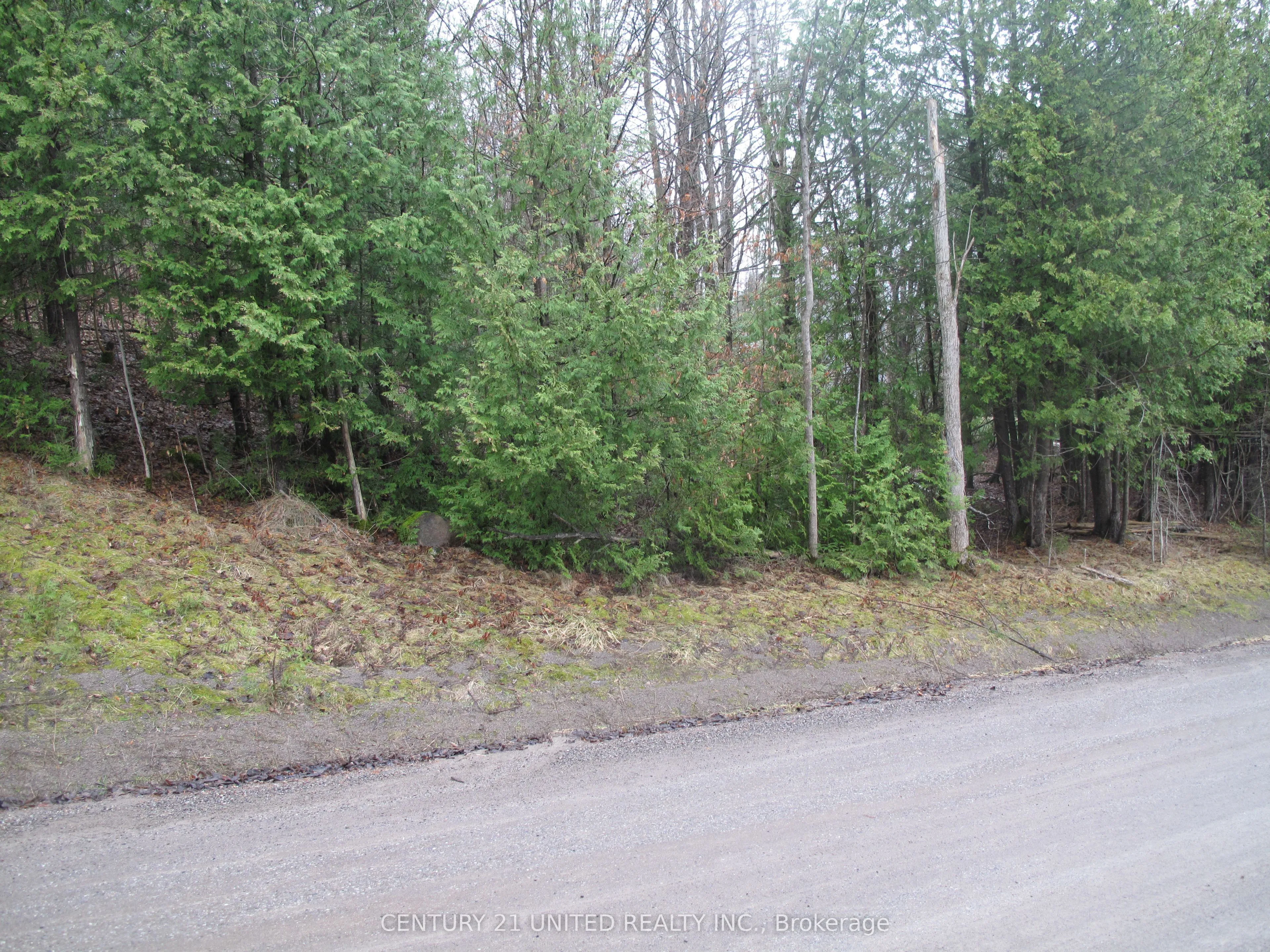 Vacant Land For Sale | X12637246