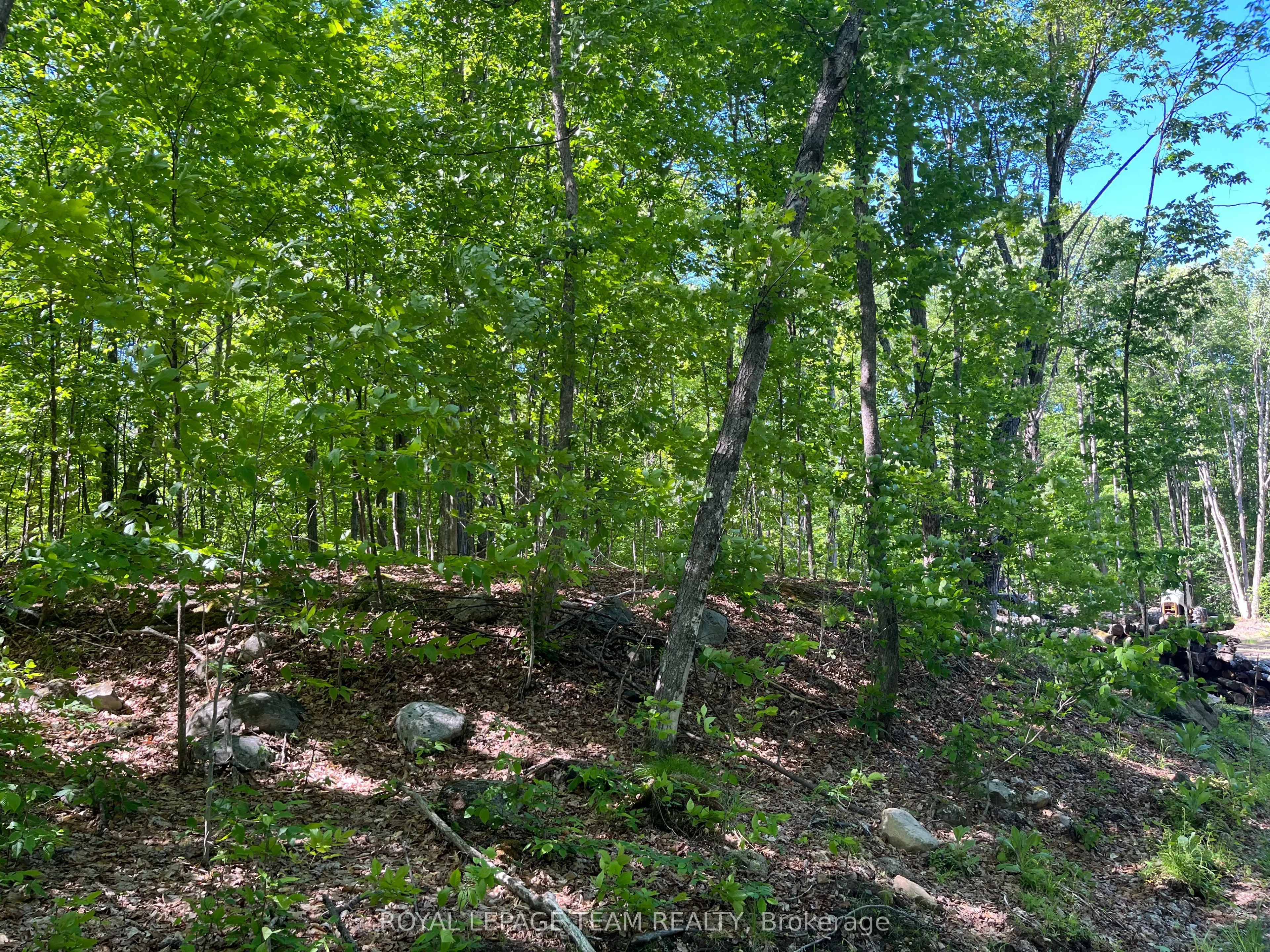 Vacant Land For Sale | X12643436