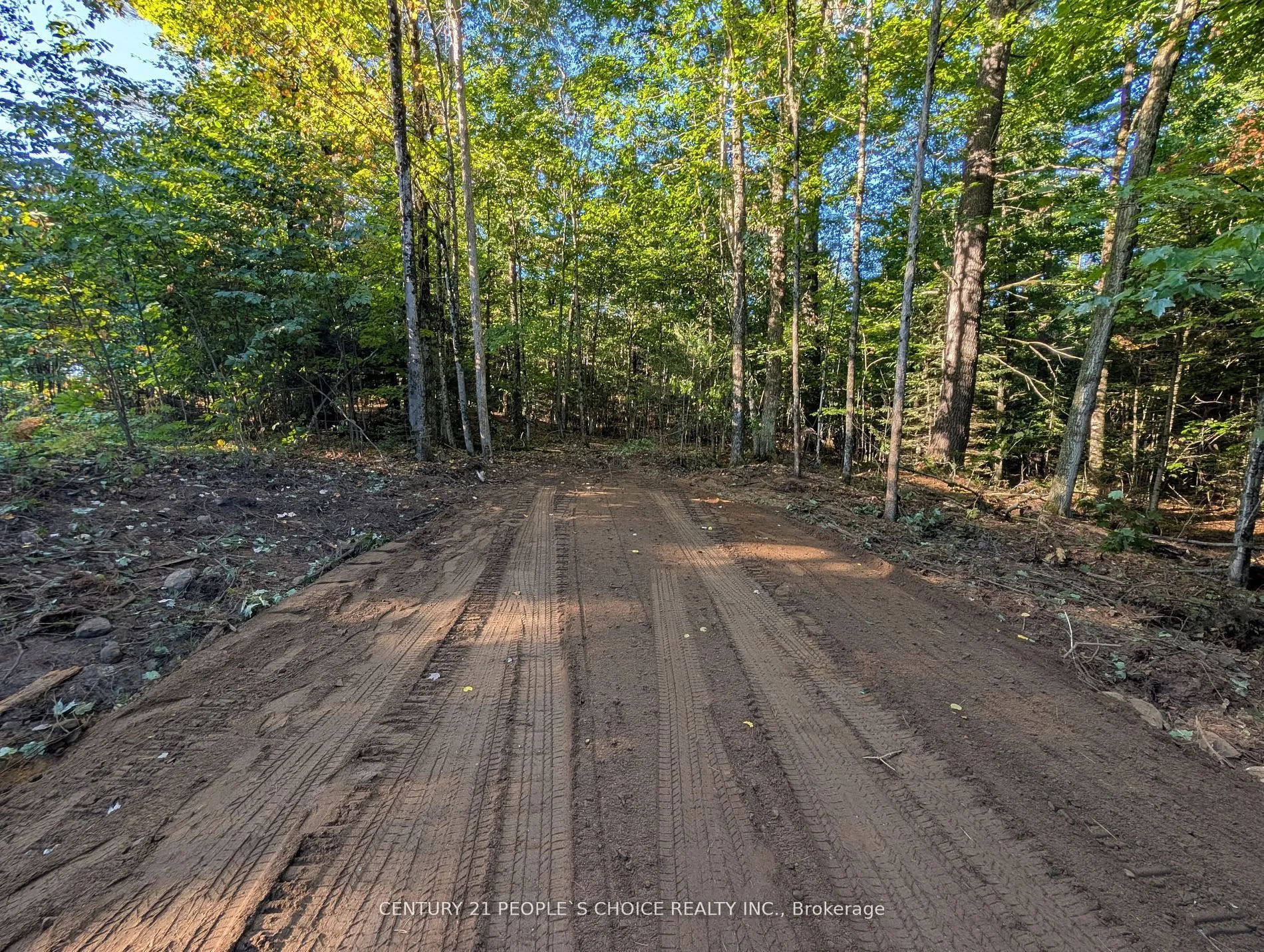 Vacant Land For Sale | X12662920