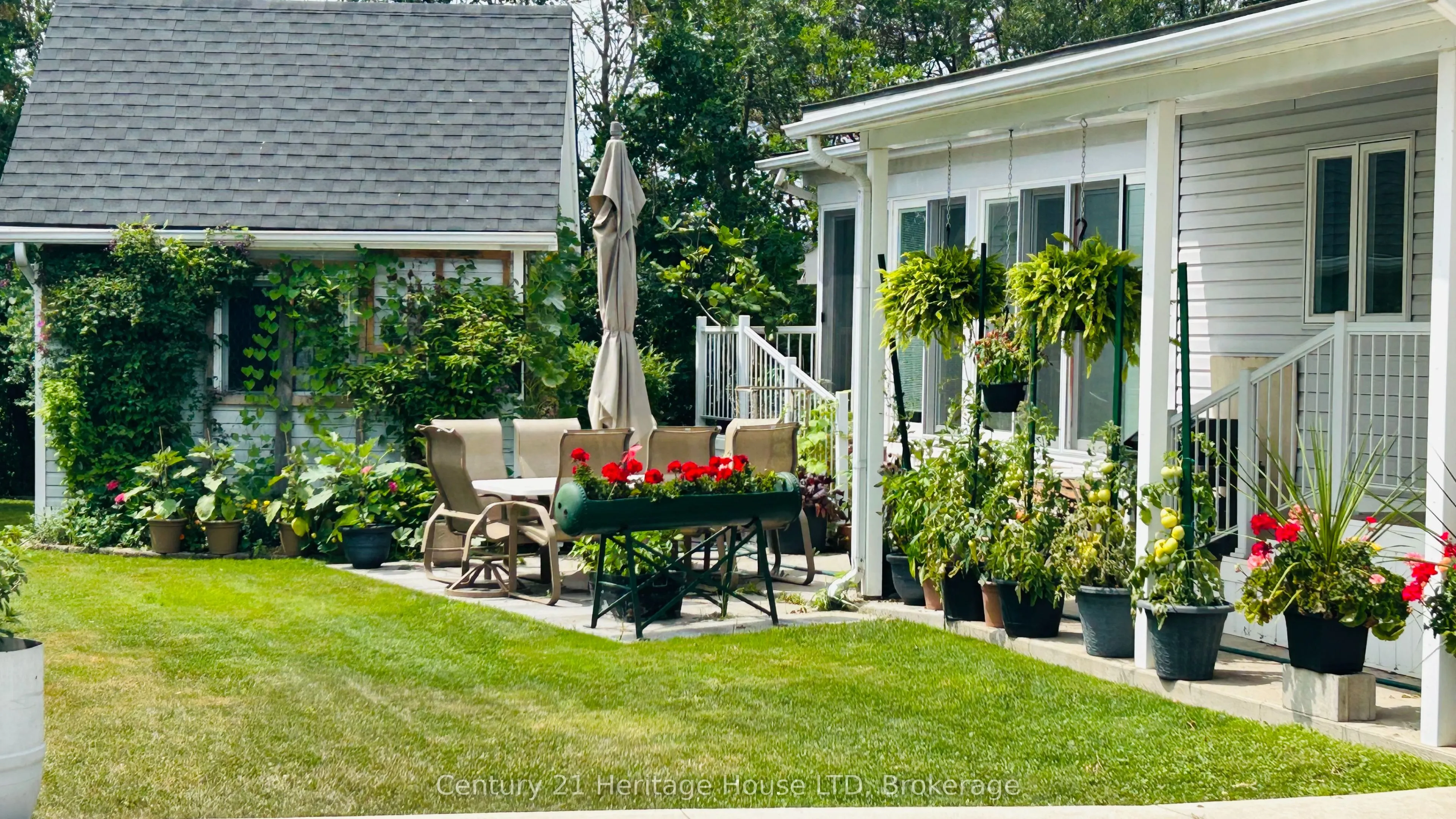 Detached Home For Sale | X12663982