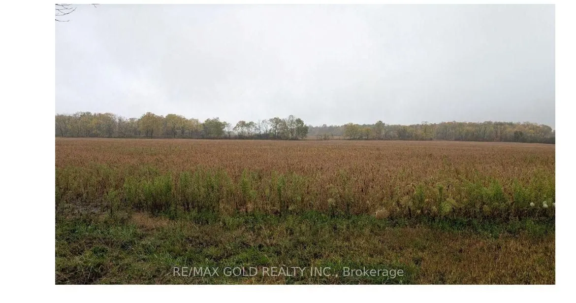 Vacant Land For Sale | X12668754