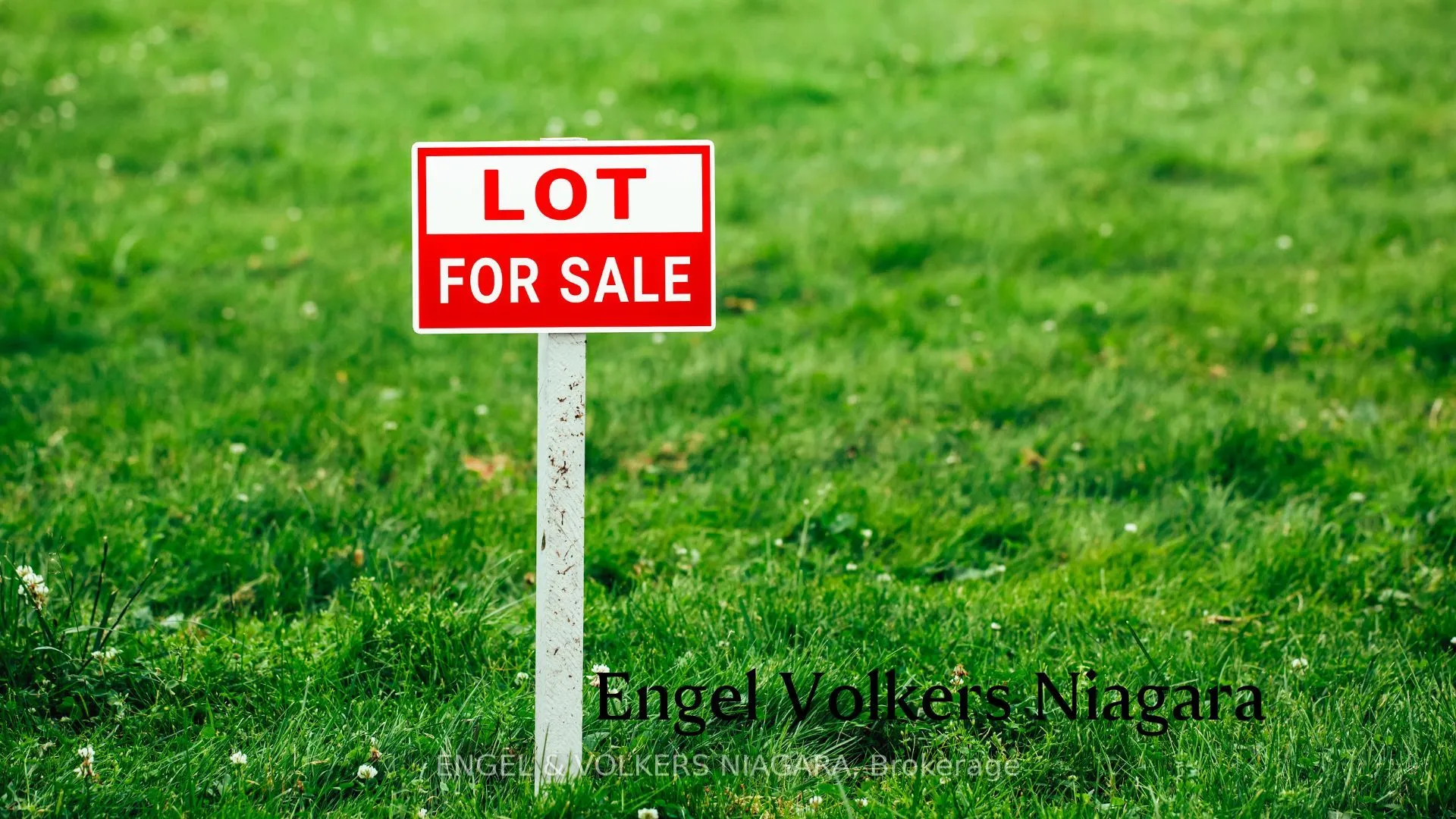 Vacant Land For Sale | X12675674