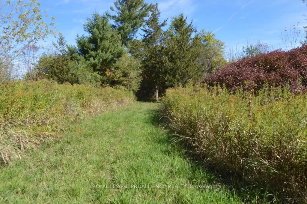 Vacant Land For Sale | X12679308