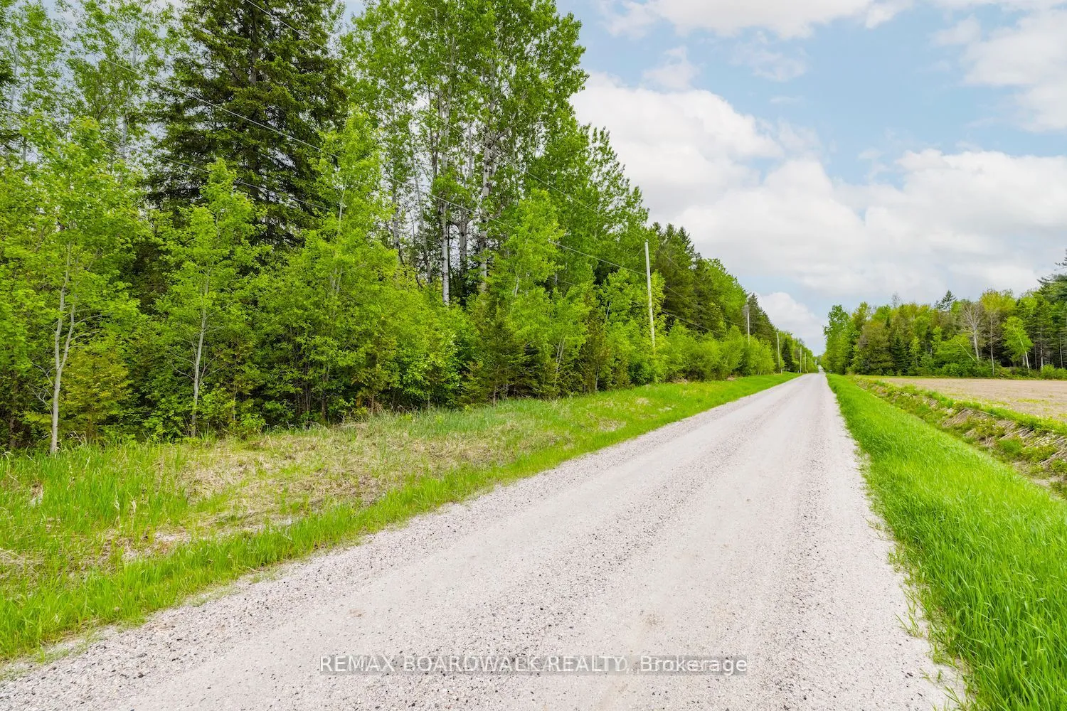Vacant Land For Sale | X12692378