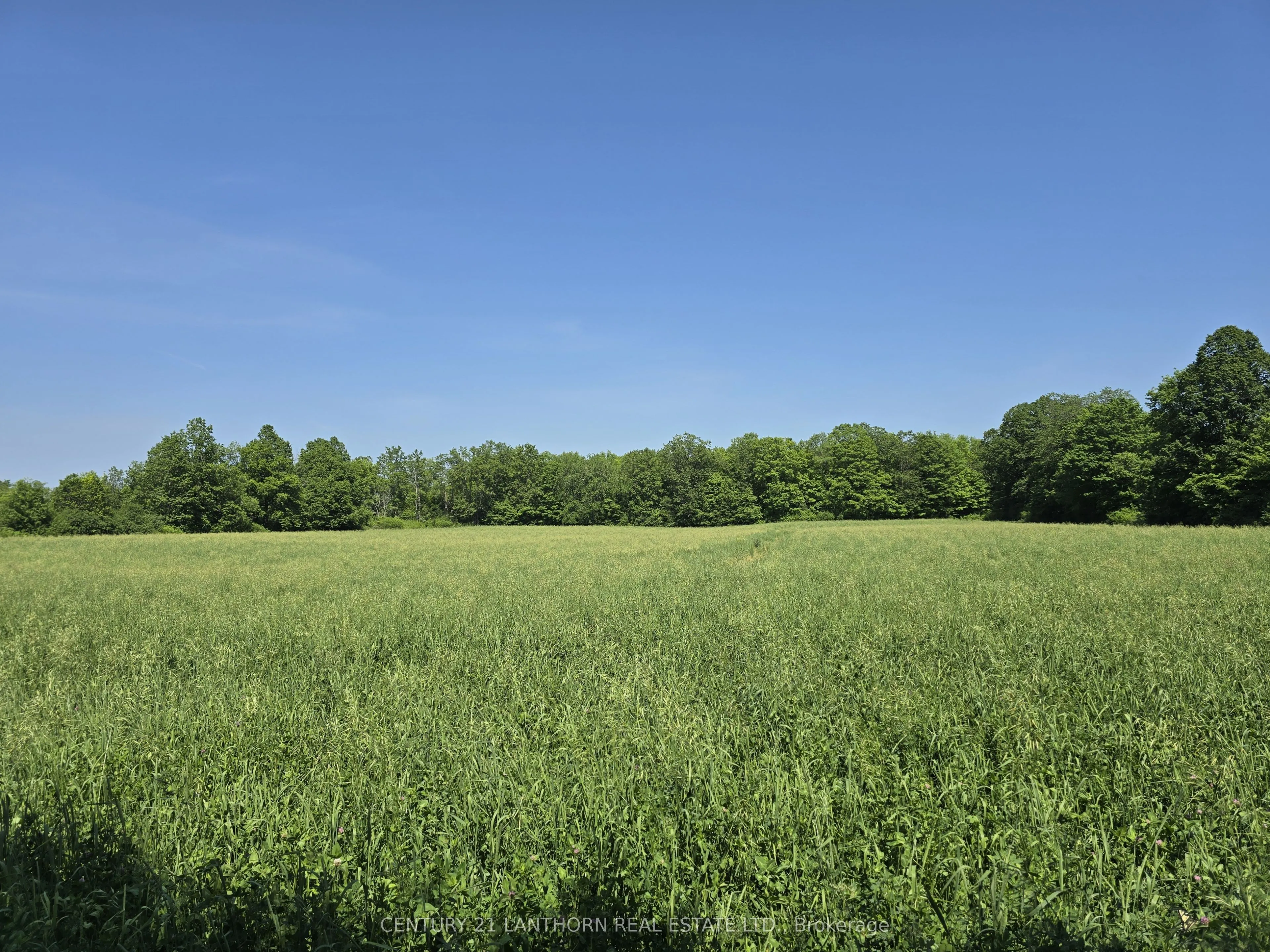 Vacant Land For Sale | X12701518