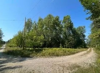 Vacant Land For Sale | X12712758