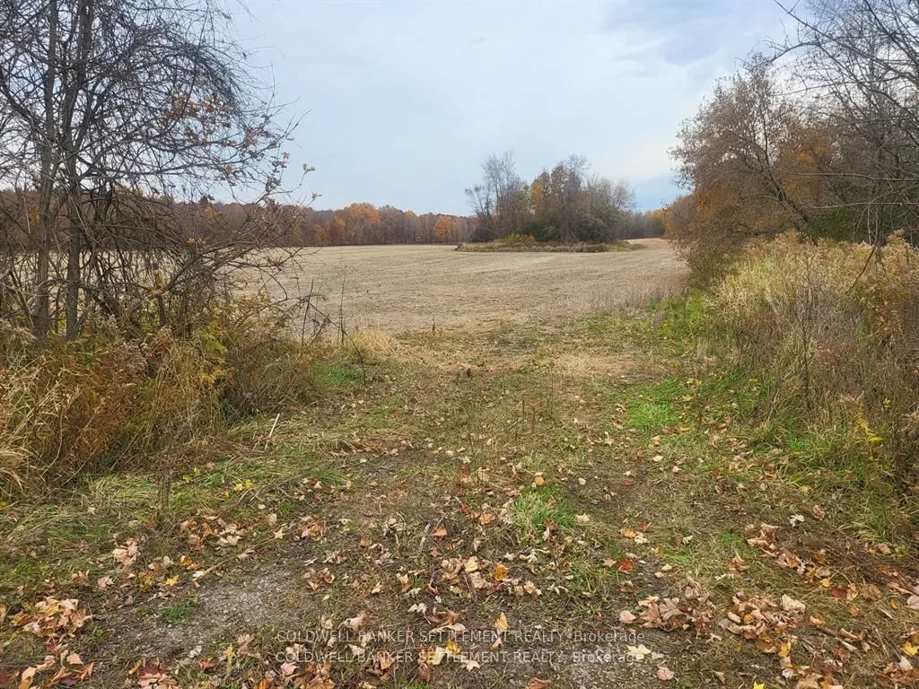 Vacant Land For Sale | X12730052