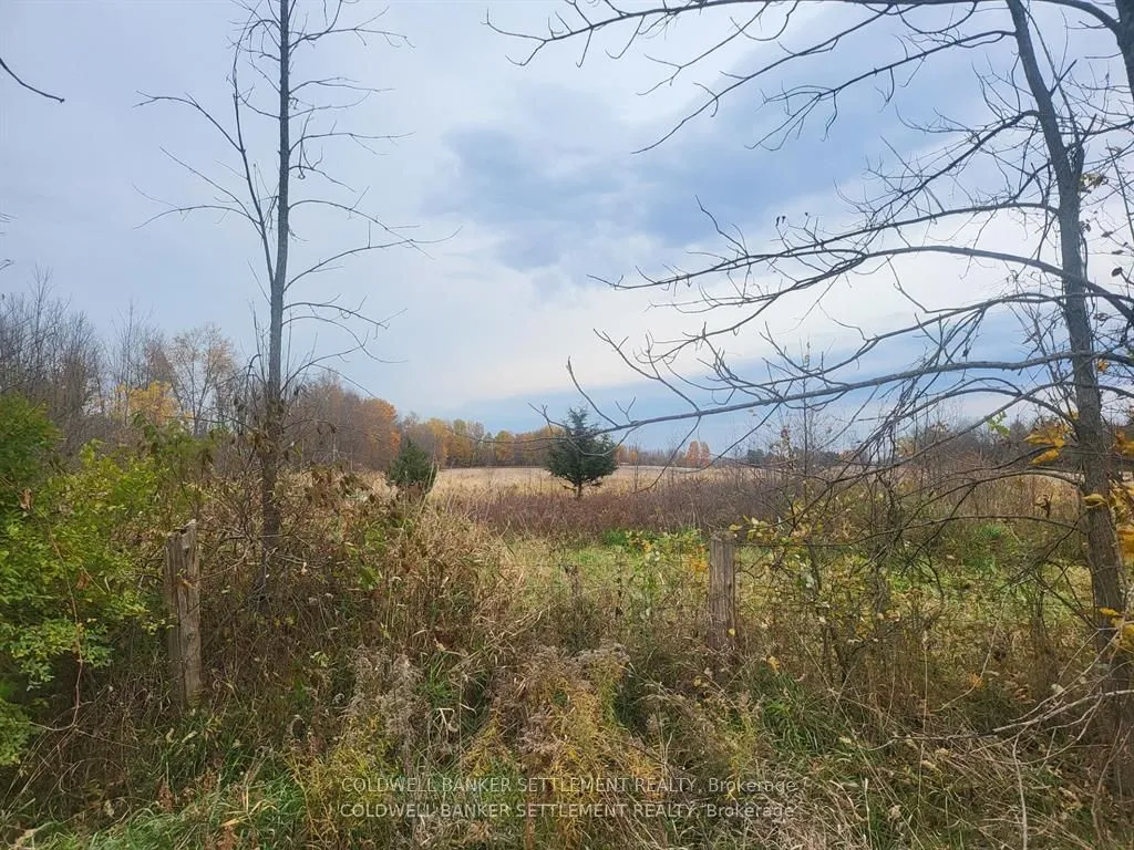 Vacant Land For Sale | X12730058