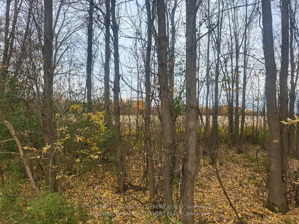 Vacant Land For Sale | X12730068
