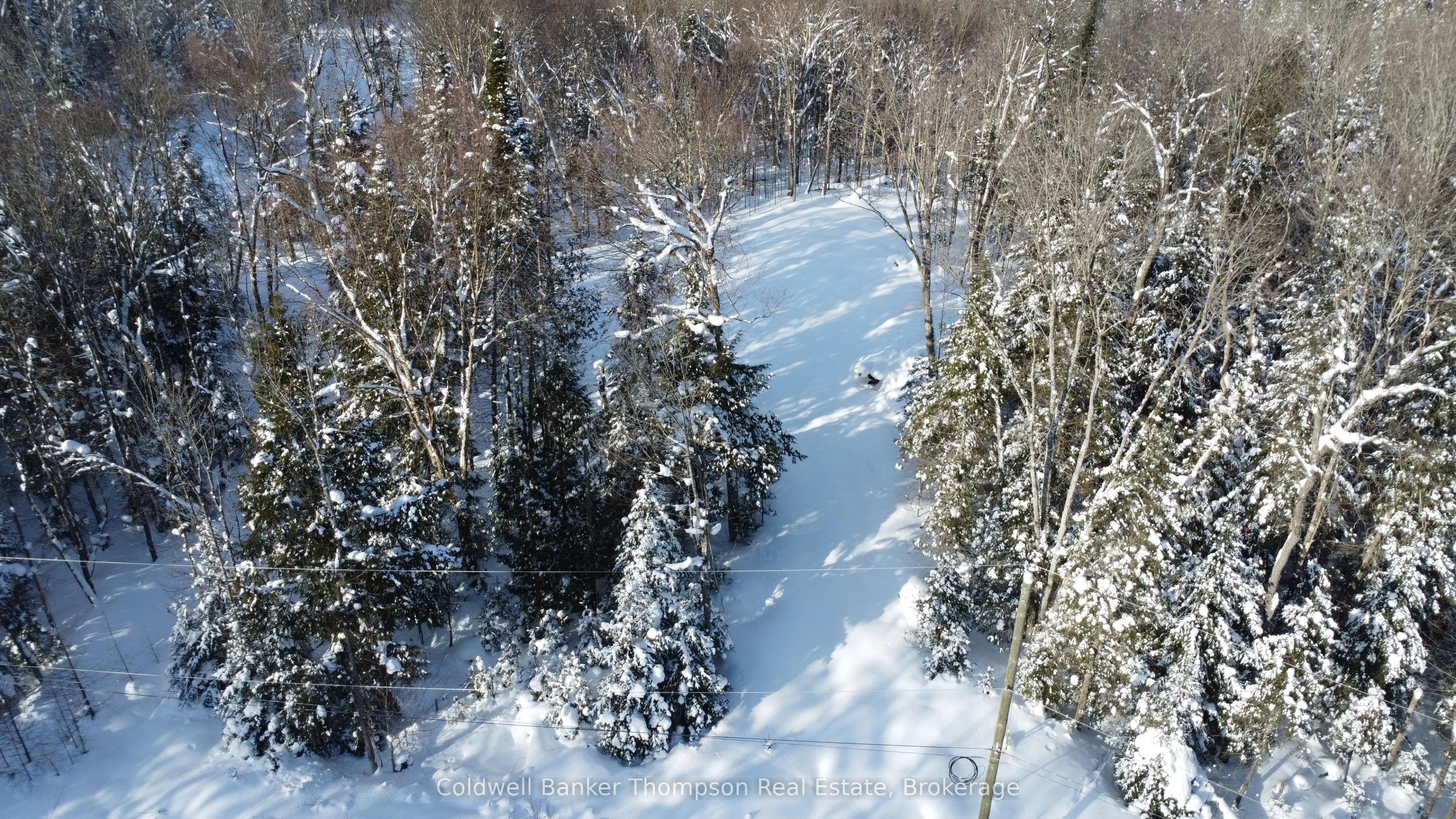 Vacant Land For Sale | X12755384