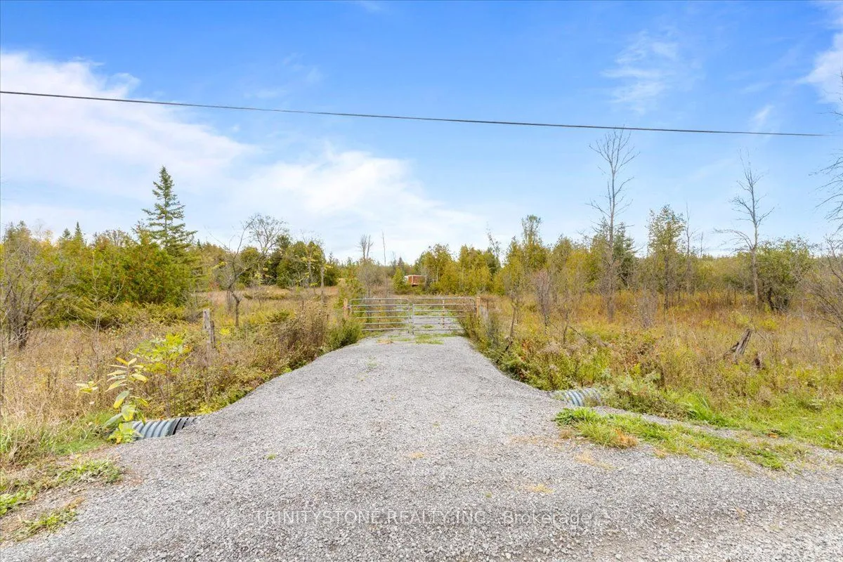 Vacant Land For Sale | X12755954