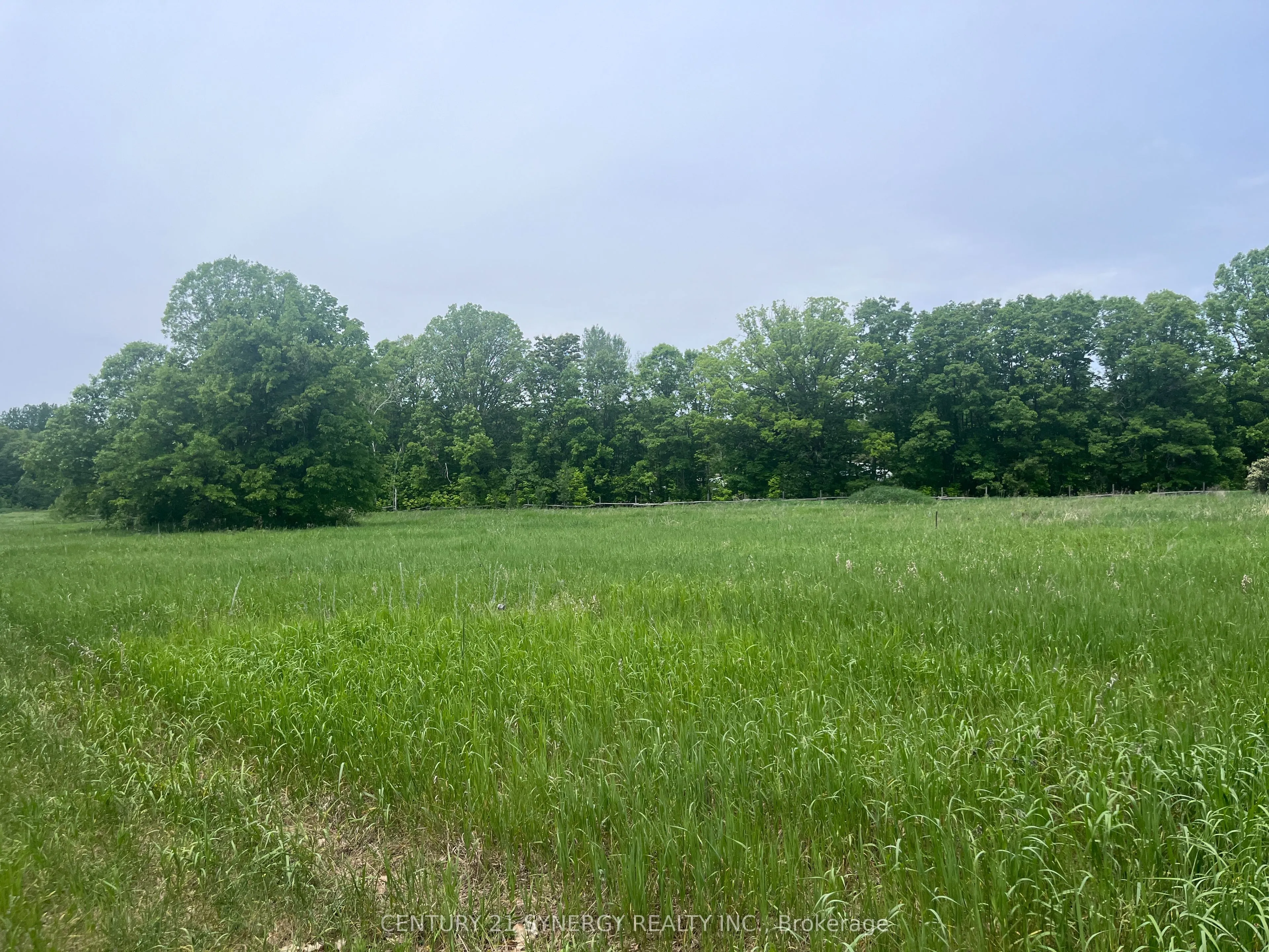 Vacant Land For Sale | X12764896