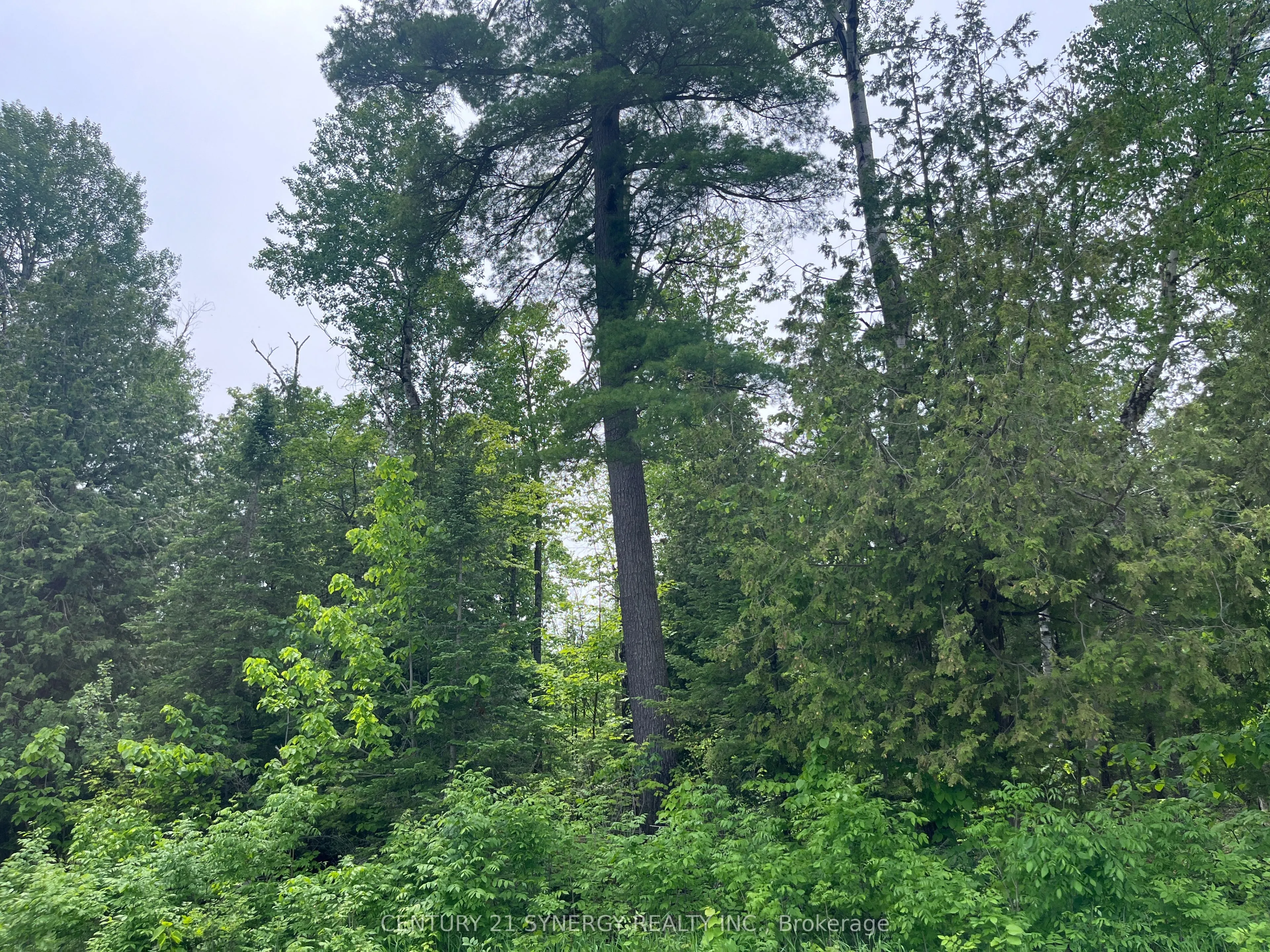 Vacant Land For Sale | X12764978
