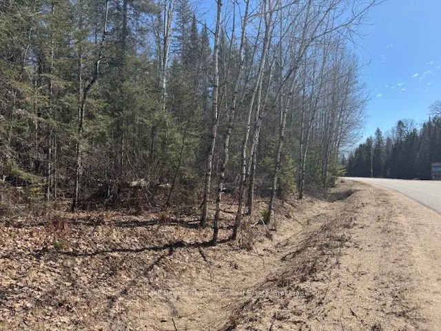 Vacant Land For Sale | X12765560