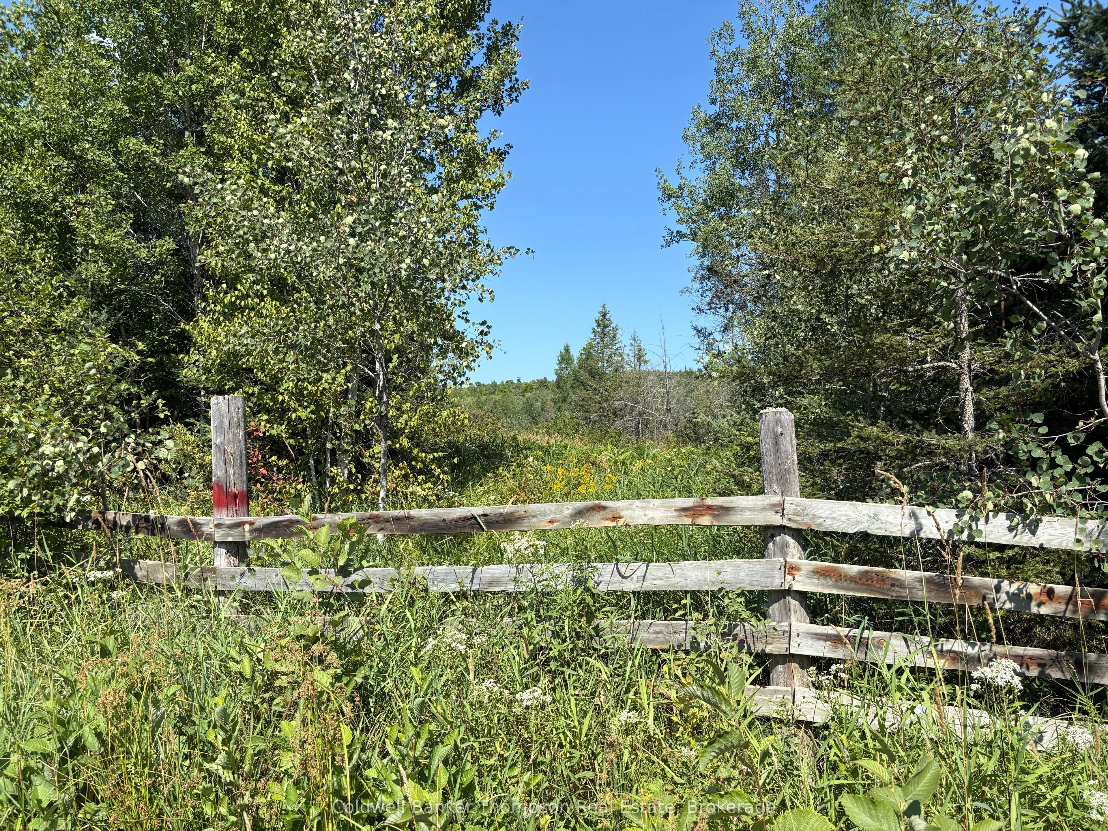 Vacant Land For Sale | X12768506