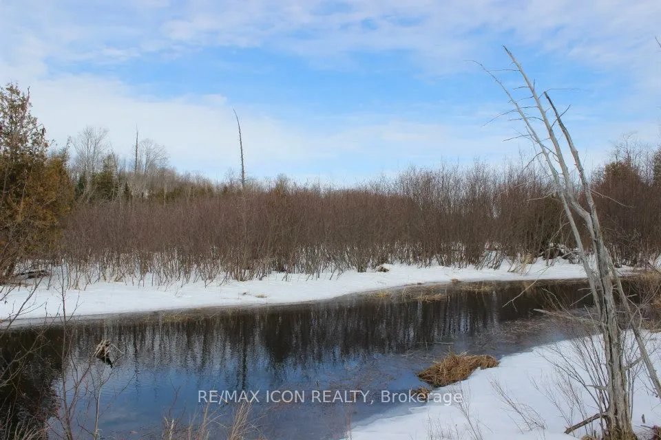 Vacant Land For Sale | X12779130