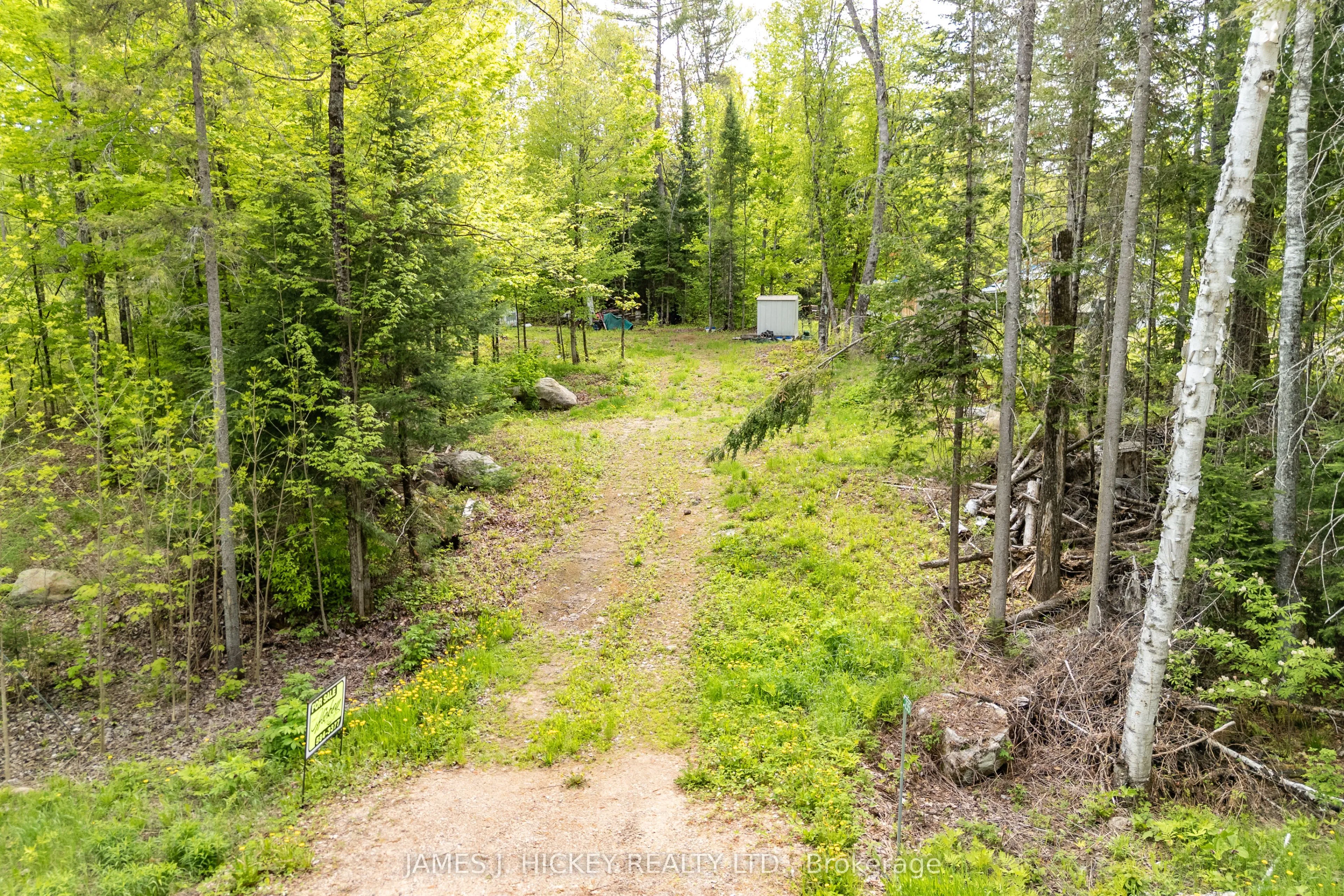 Vacant Land For Sale | X12799774