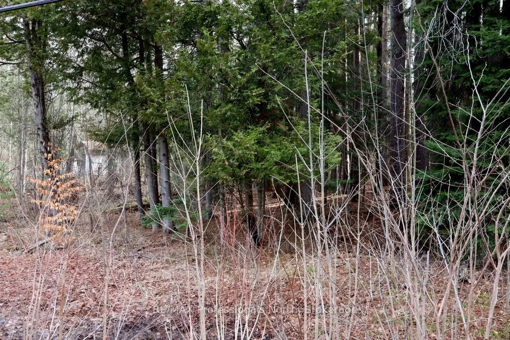 Vacant Land For Sale | X12806210