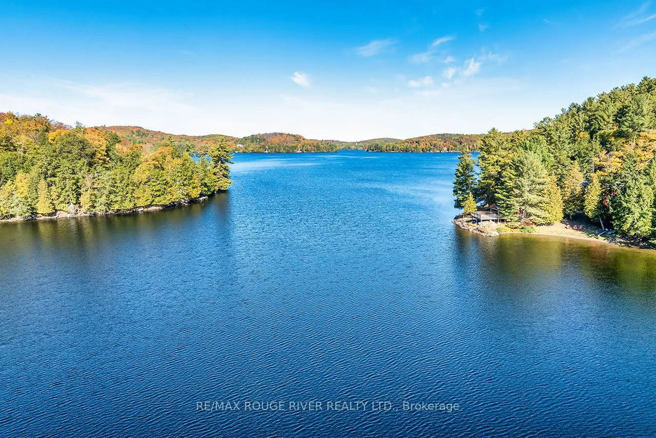 Vacant Land For Sale | X12813326