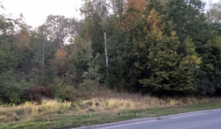 Vacant Land For Sale | X12815242