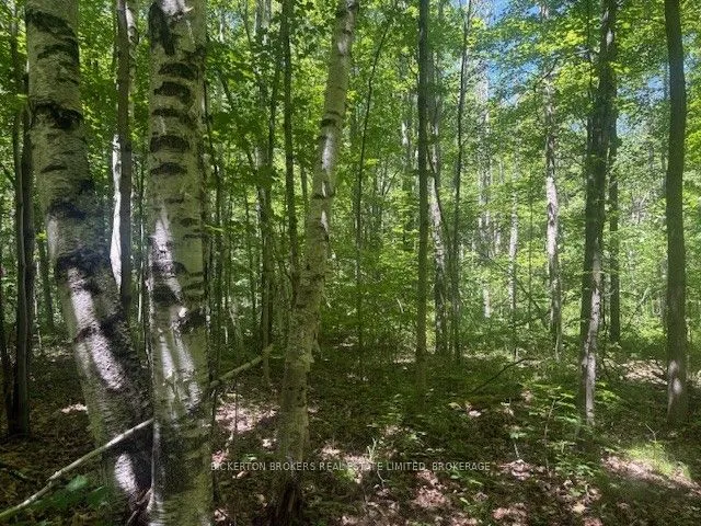 Vacant Land For Sale | X12823028