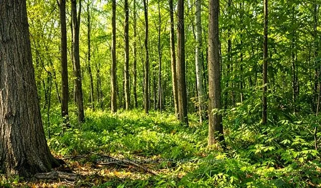 Vacant Land For Sale | X12823028