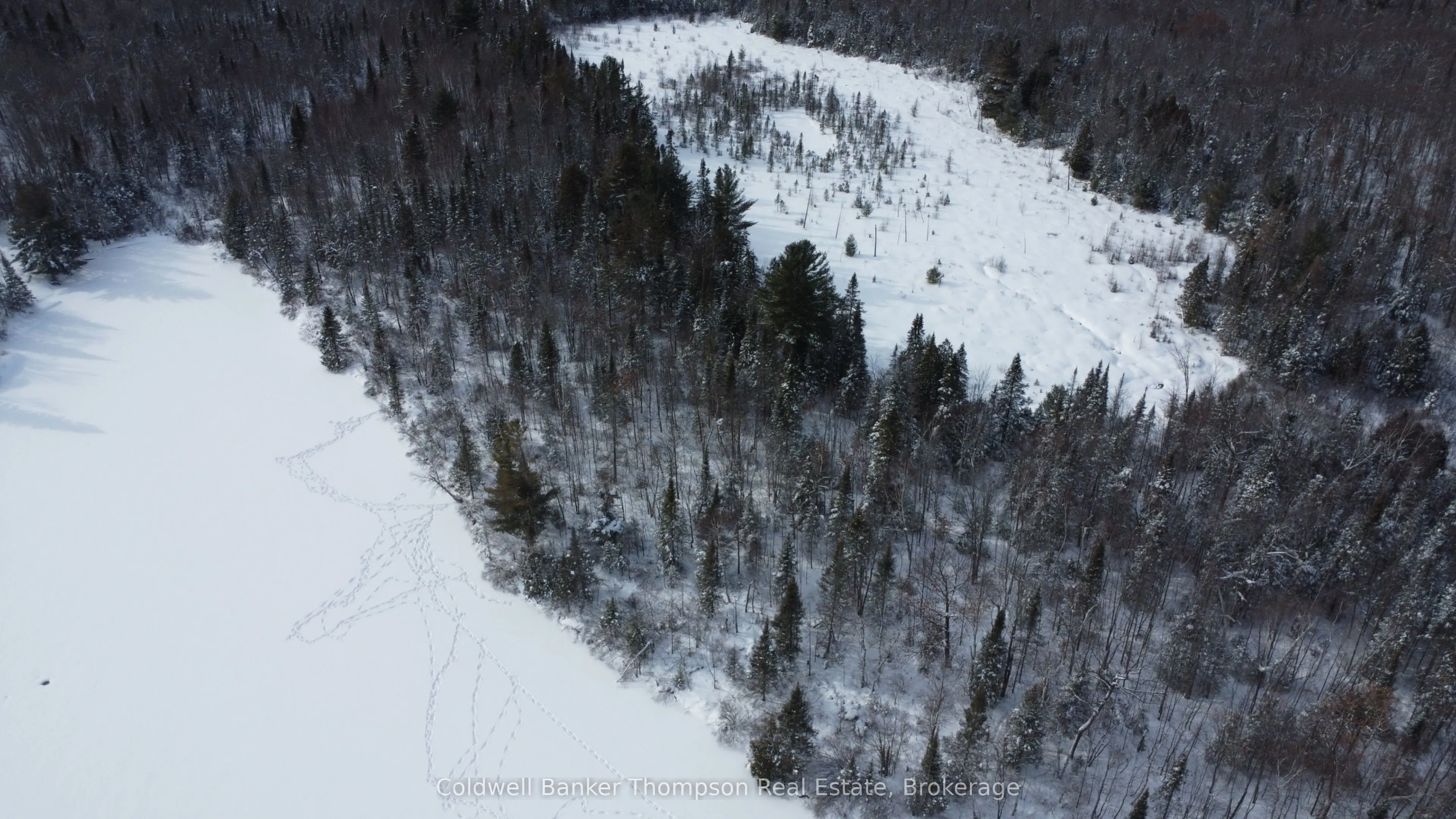 Vacant Land For Sale | X12825848