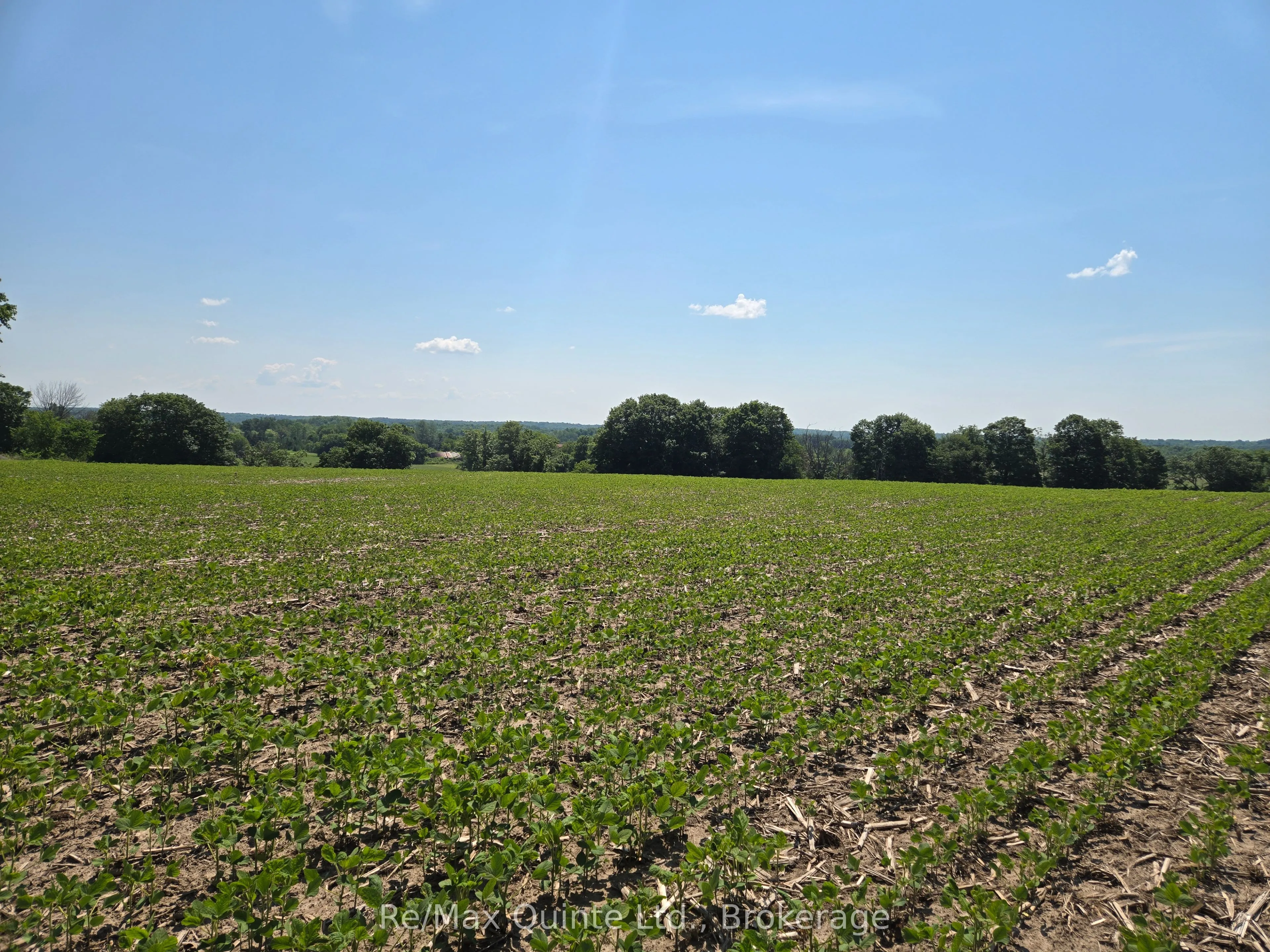 Vacant Land For Sale | X12833428