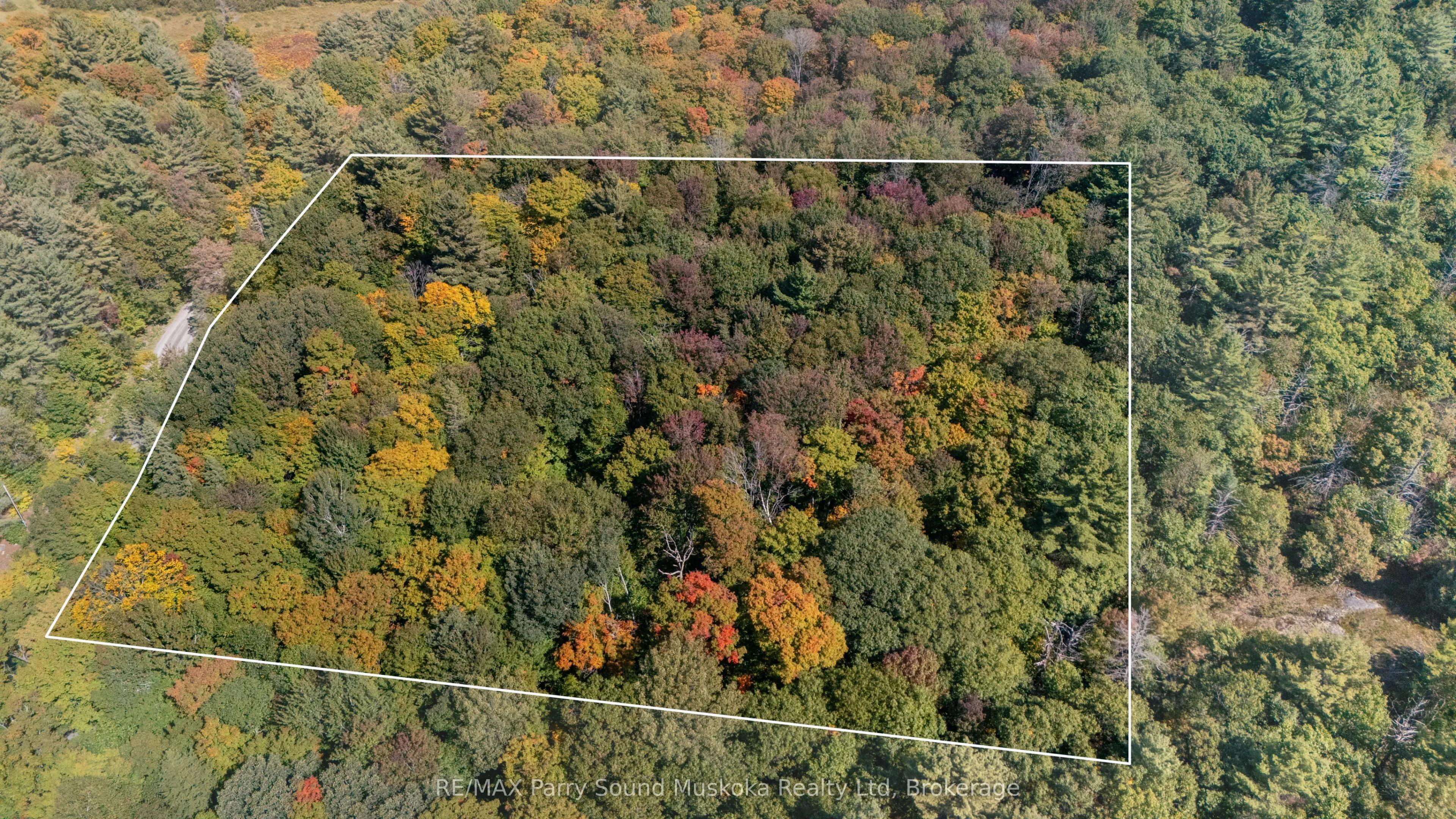 Vacant Land For Sale | X12846098