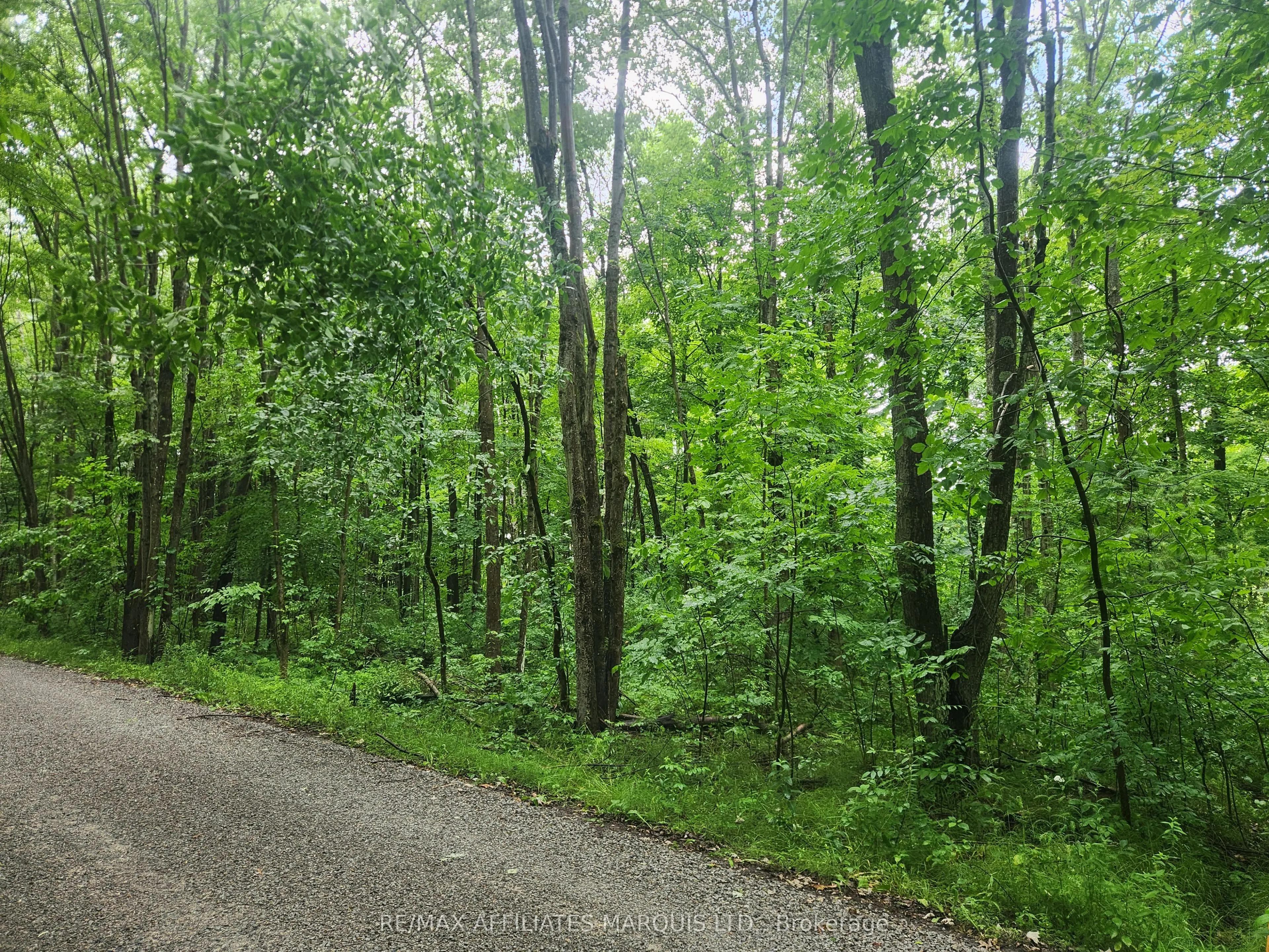 Vacant Land For Sale | X12850510