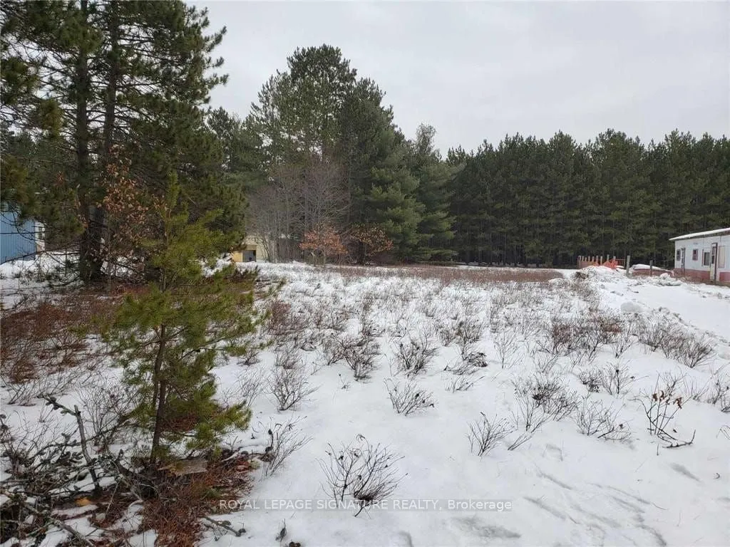 Vacant Land For Sale | X12856060