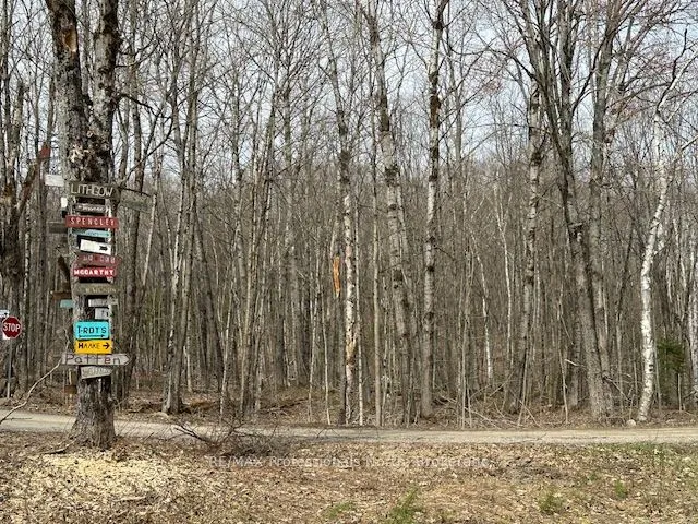 Vacant Land For Sale | X12863774