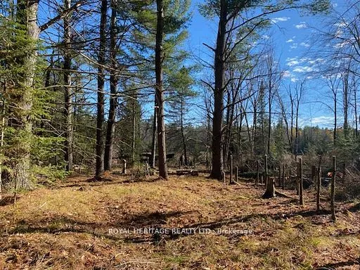 Vacant Land For Sale | X12865678