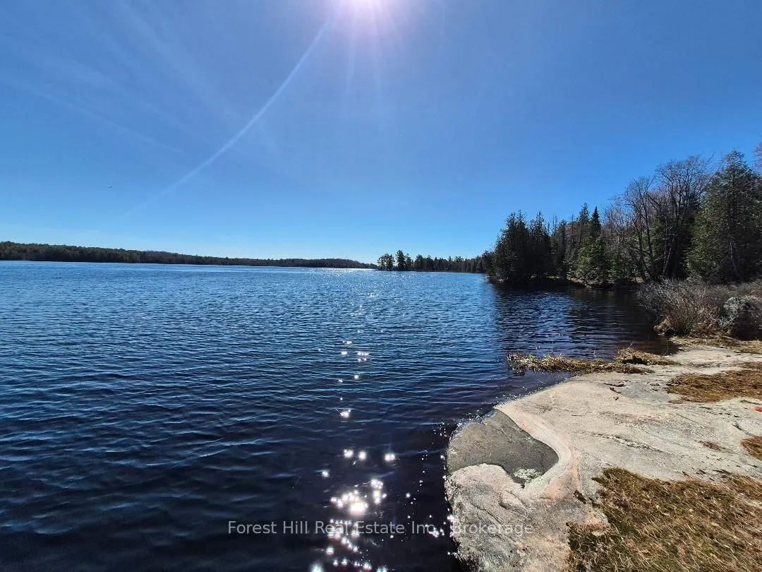 Vacant Land For Sale | X12870250
