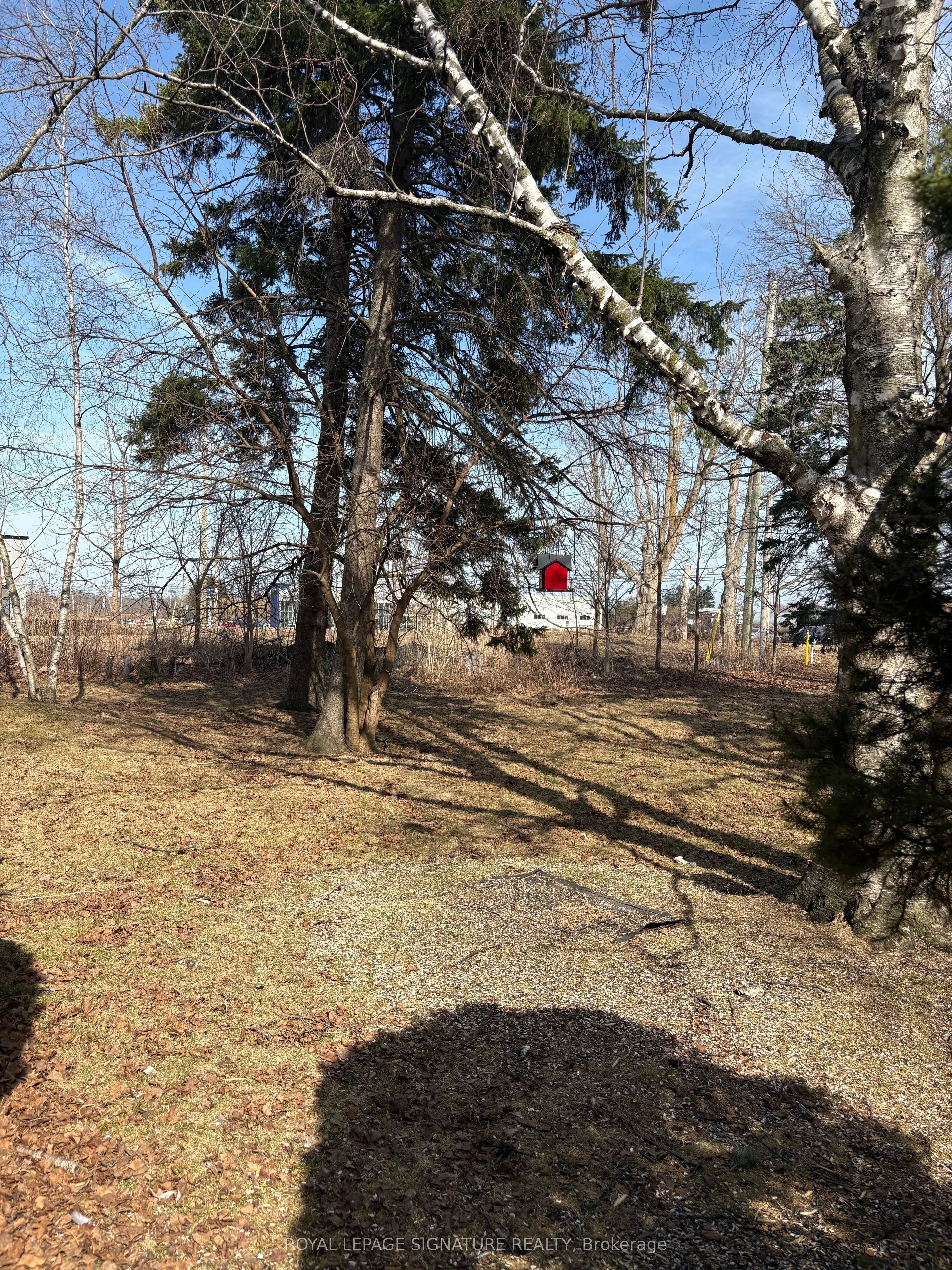 Land For Sale | X12874736