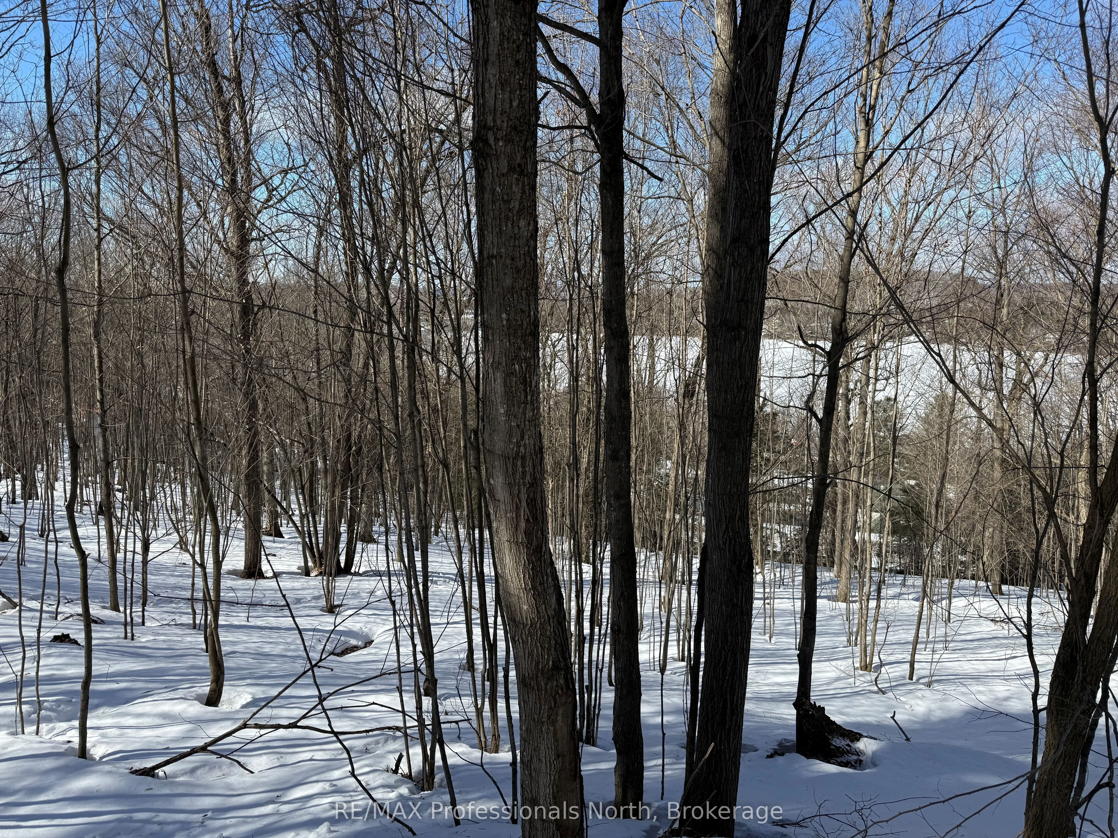 Vacant Land For Sale | X12878088
