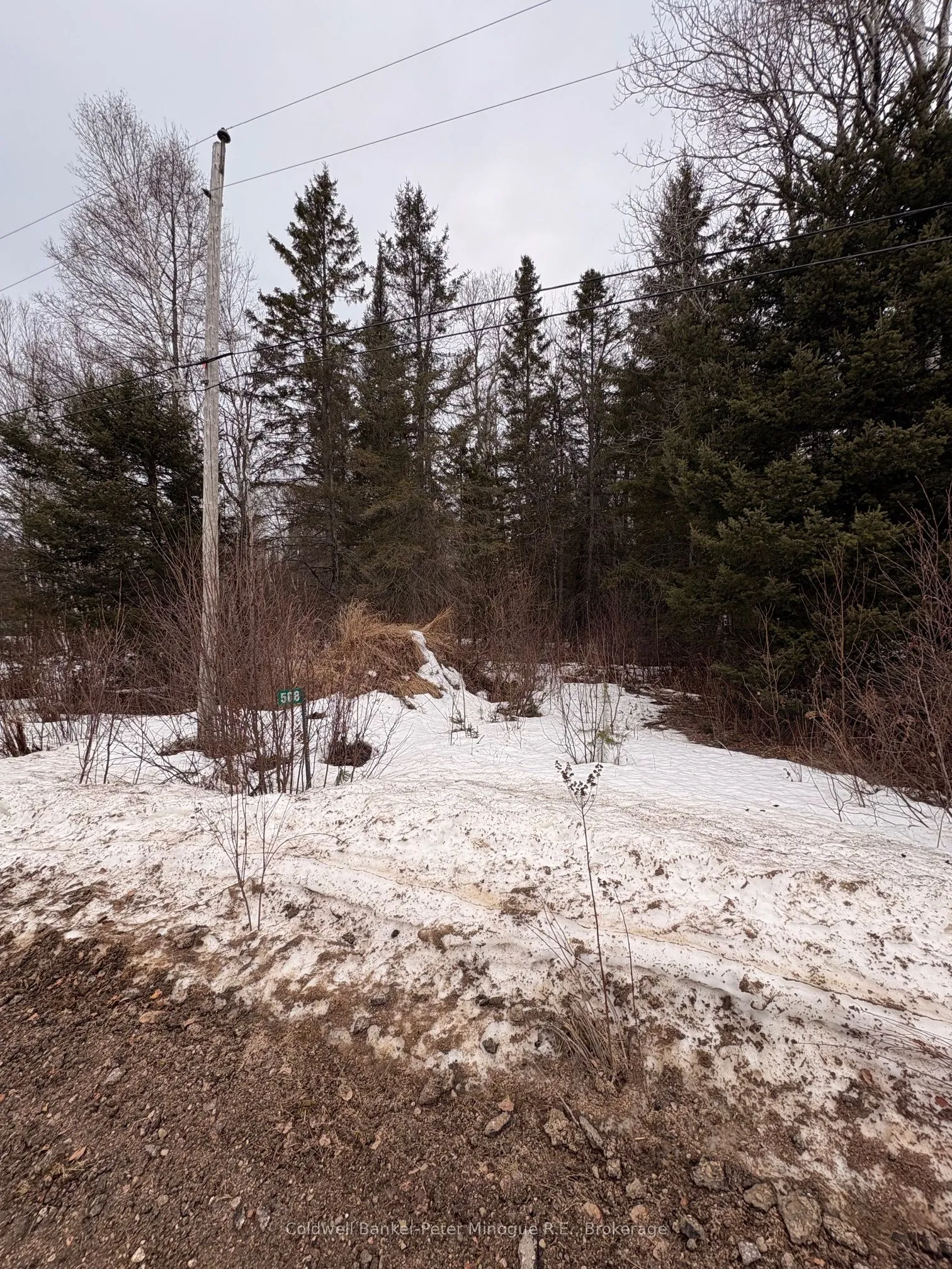 Vacant Land For Sale | X12880048