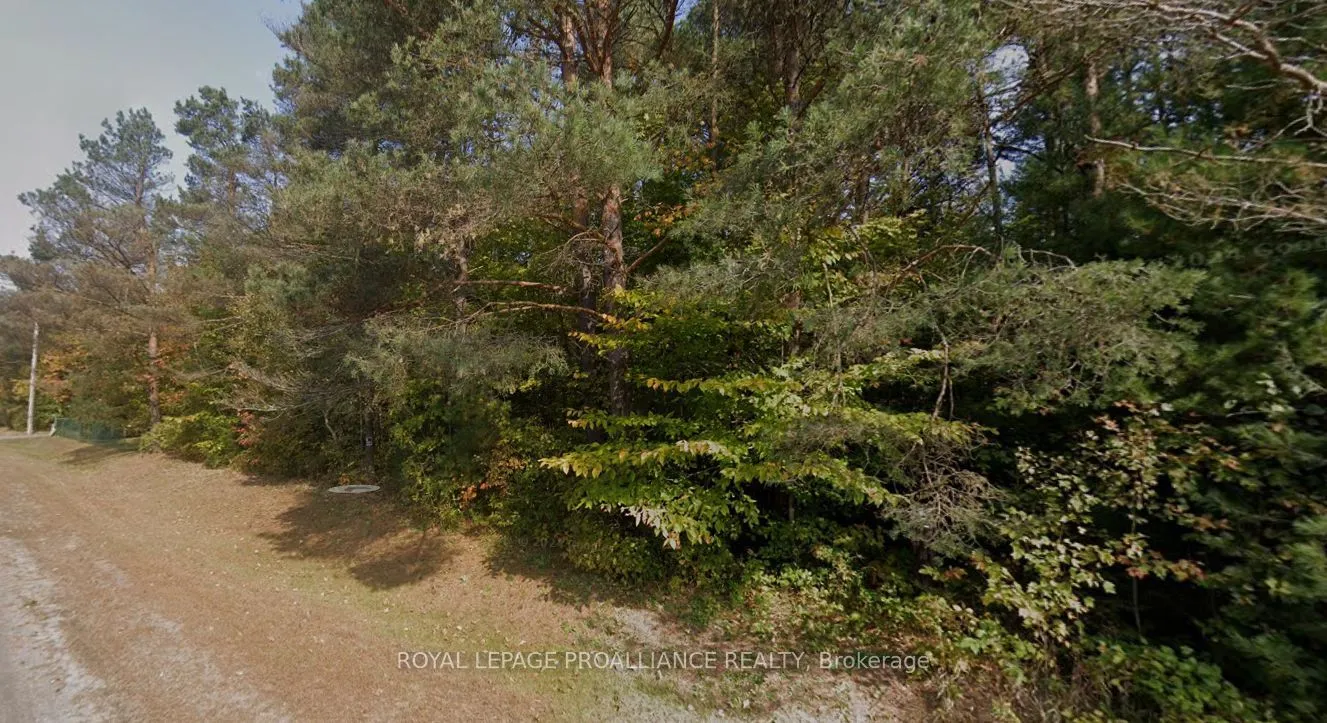 Vacant Land For Sale | X12882044