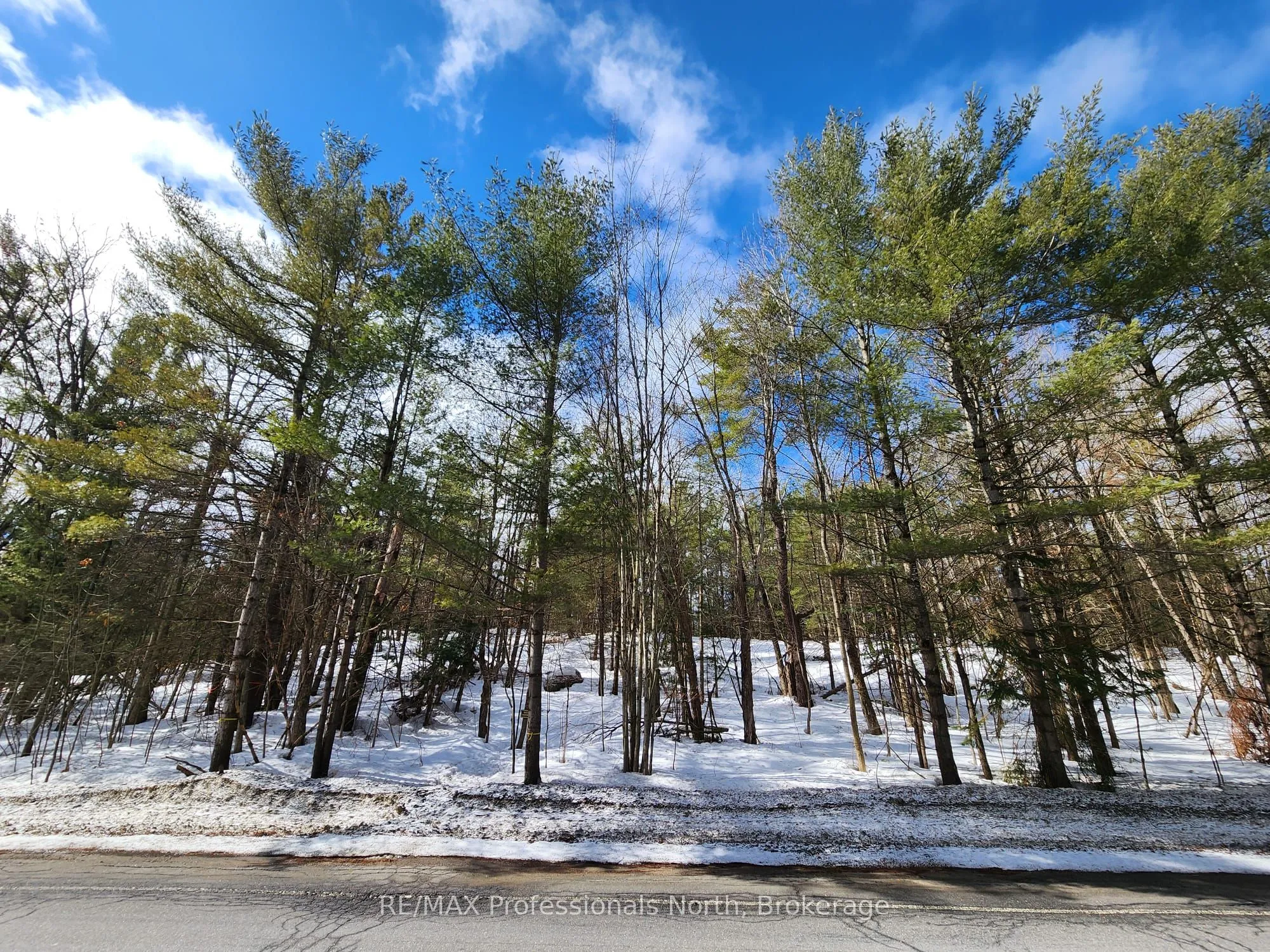 Vacant Land For Sale | X12884116