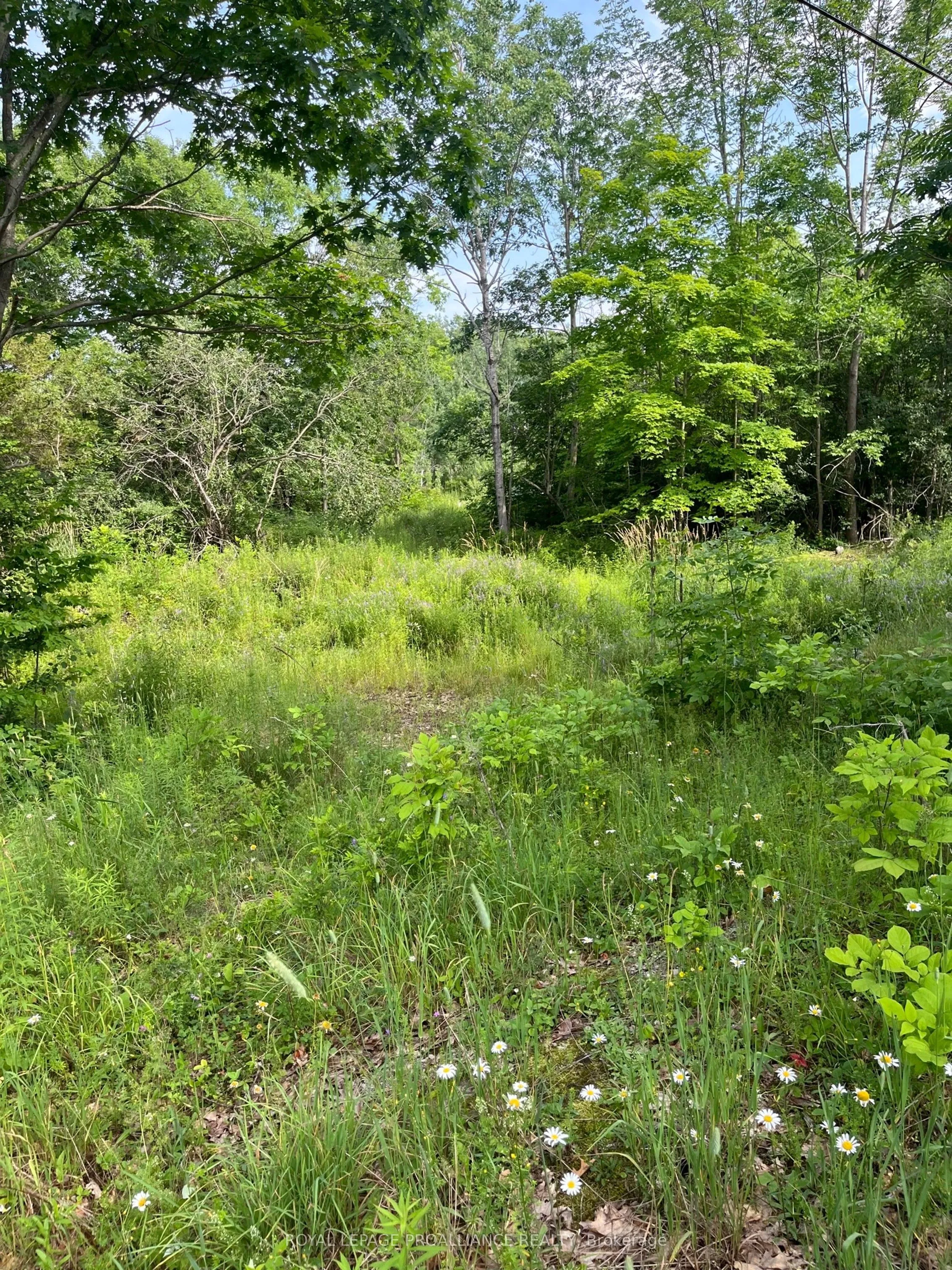 Vacant Land For Sale | X12896752