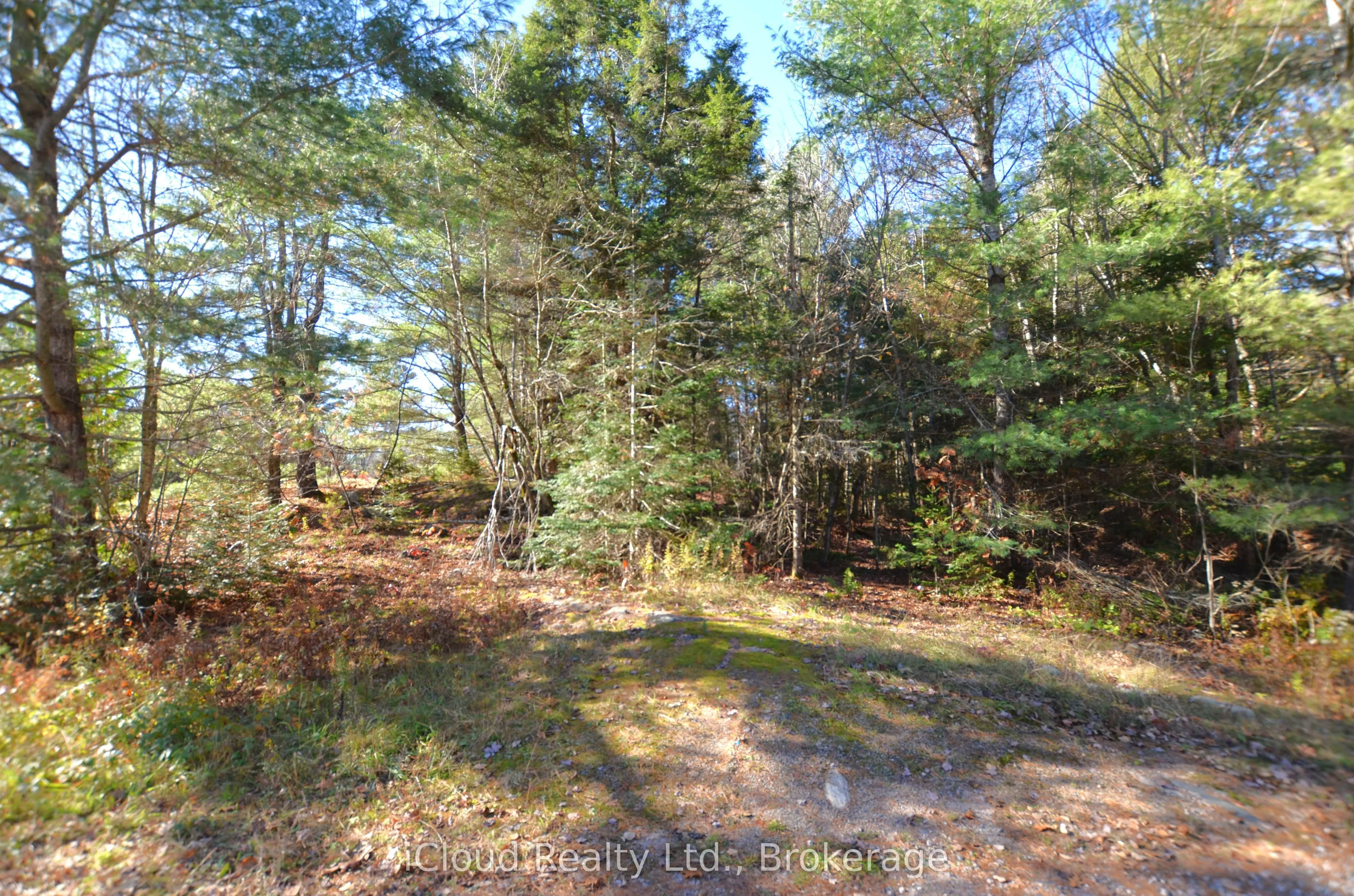 Vacant Land For Sale | X12913718