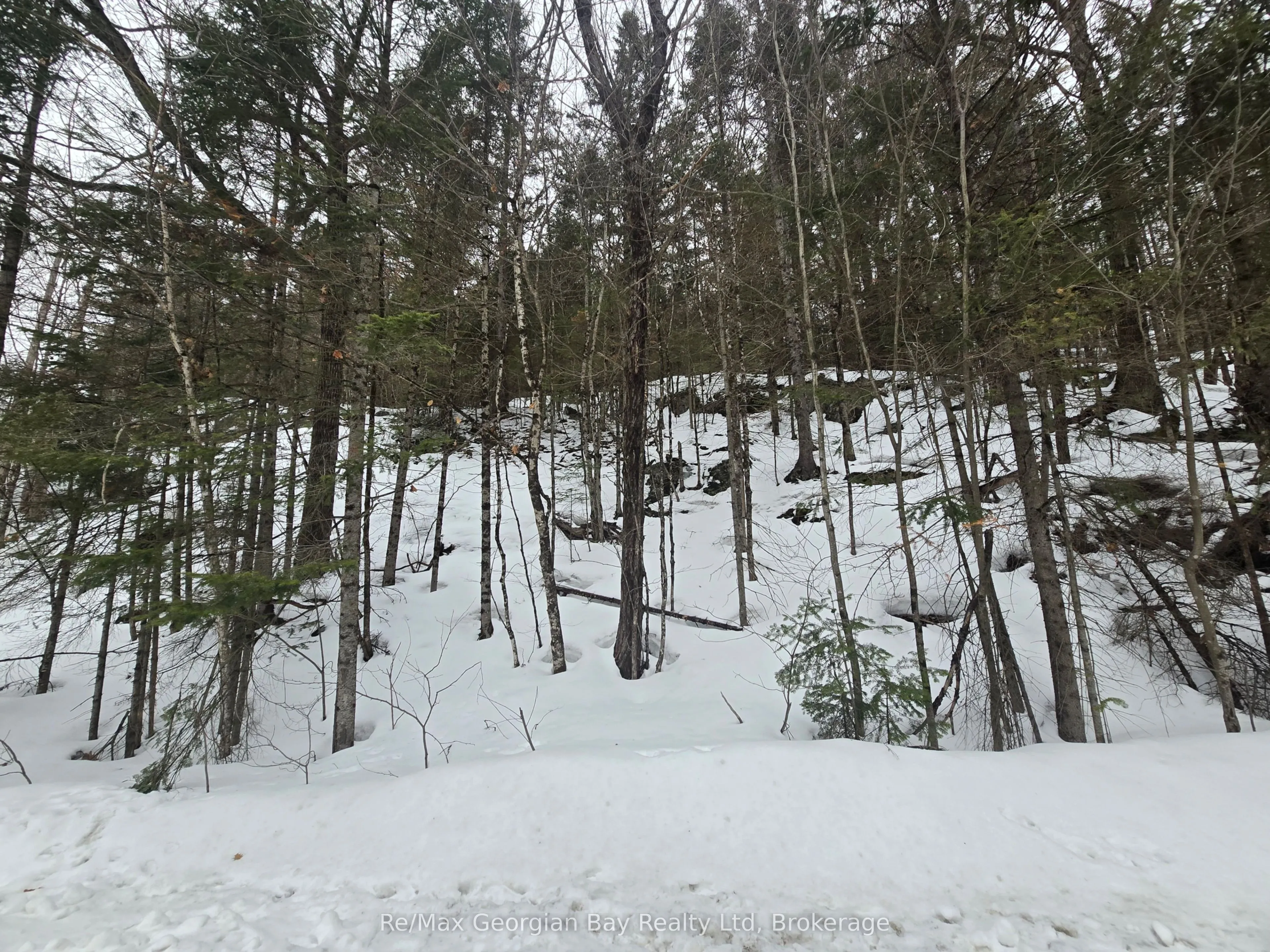 Vacant Land For Sale | X12924538
