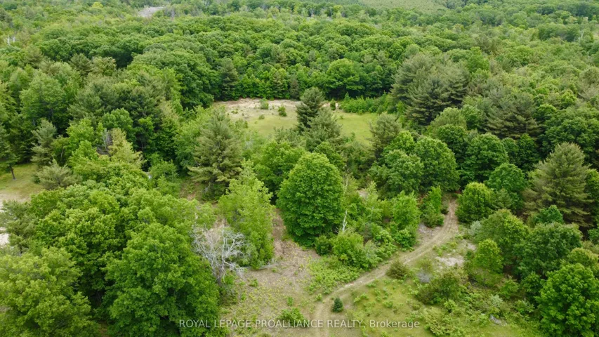 207 Middle Ridge Road, Brighton, ON K0K 1H0